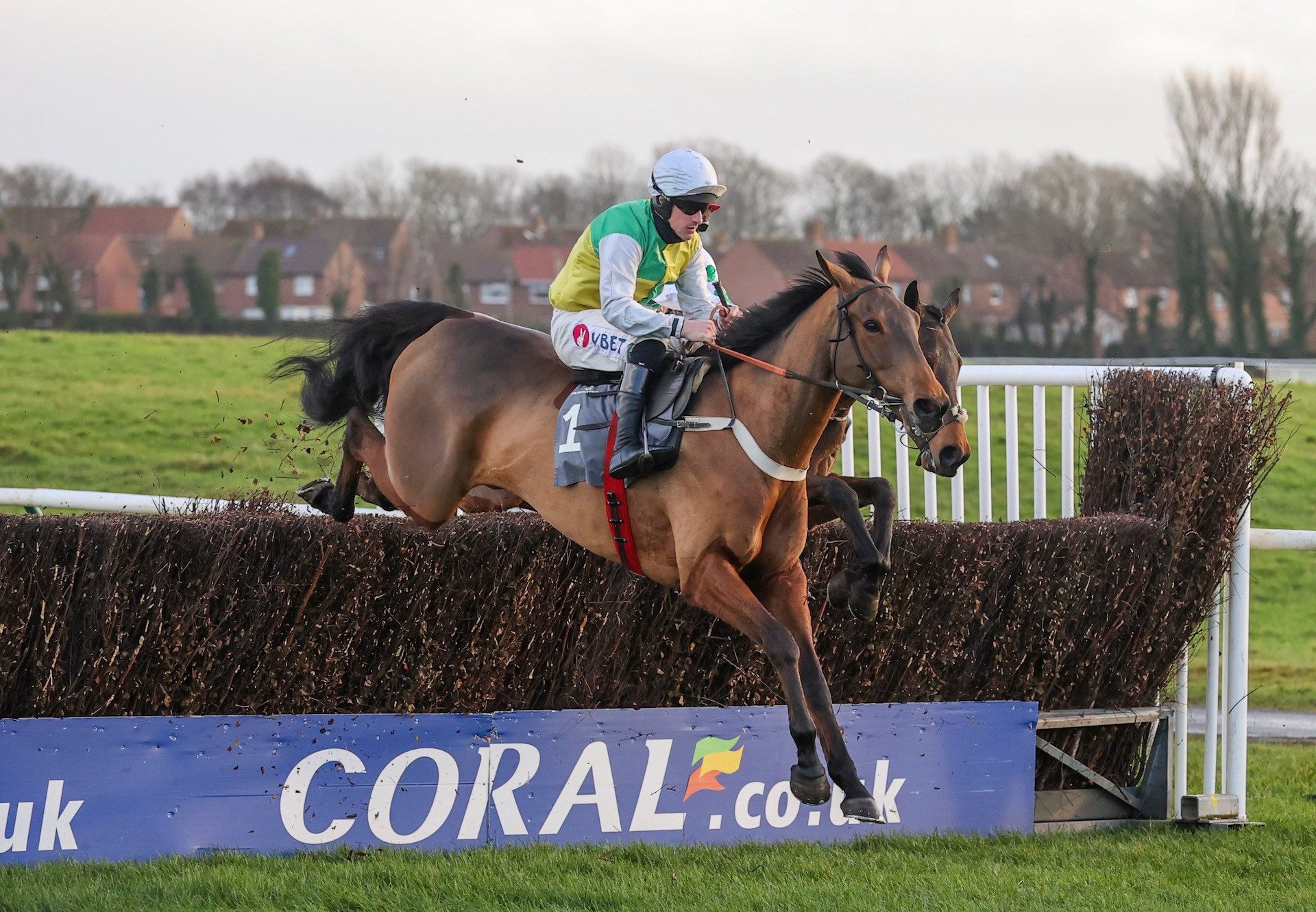 Marown Wins The Novice Chase At Ayr 1