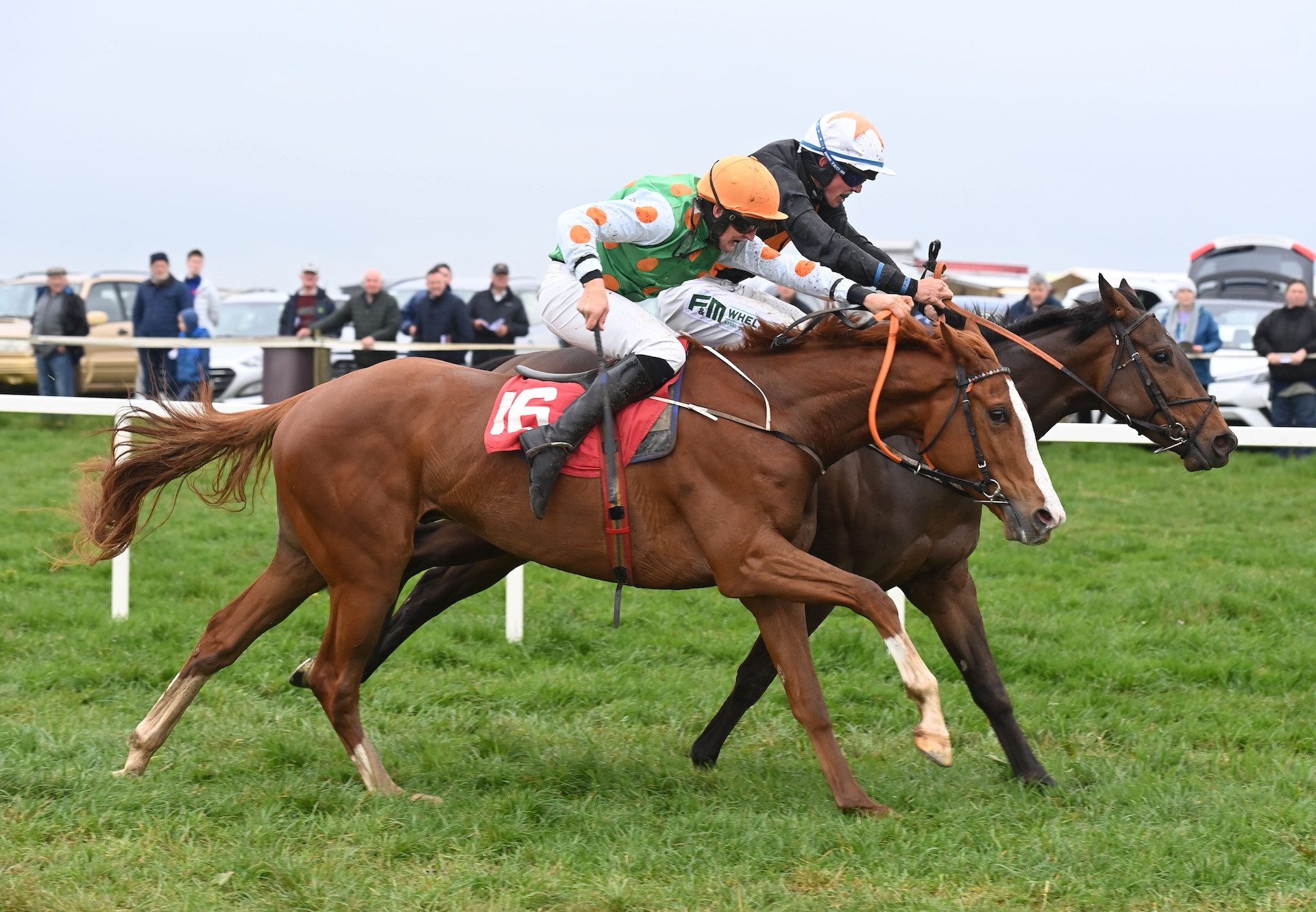 Marty Mcfly (Getaway)  And Pride Of Erin (Soldier Of Fortune) Deadheat In A Four Year Old Maiden At Dromahane