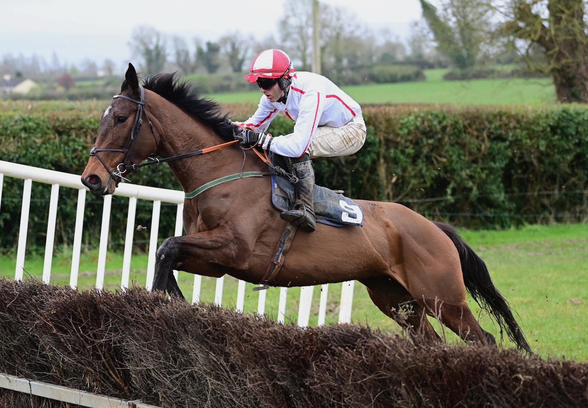Mary Stanford (Soldier Of Fortune) Wins At Lisronagh