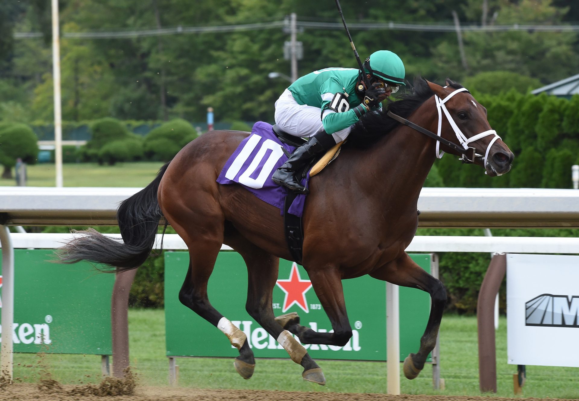 Mashnee Girl (Air Force Blue) Breaks Maiden At Saratoga