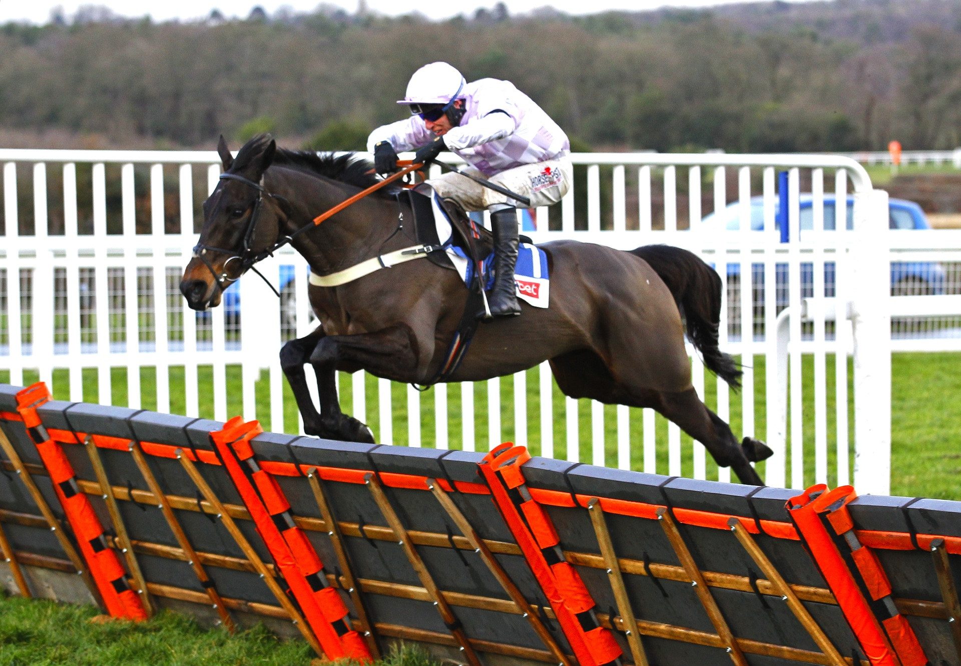 Master Debonair (Yeats) Wins The Gr.2 Supreme Trial at Ascot