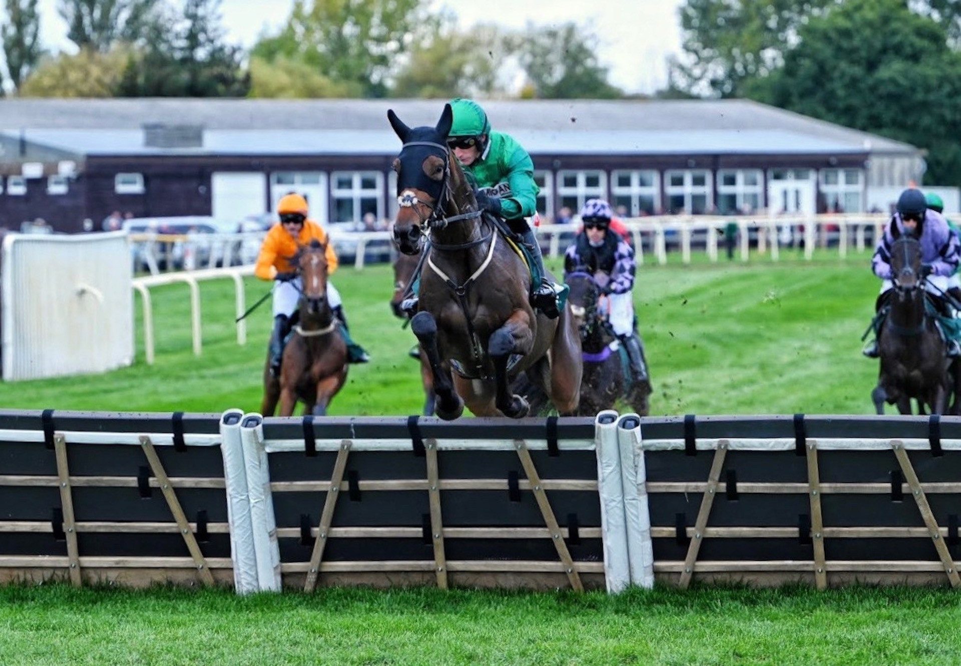 Matata (Vadamos) Wins At Fakenham