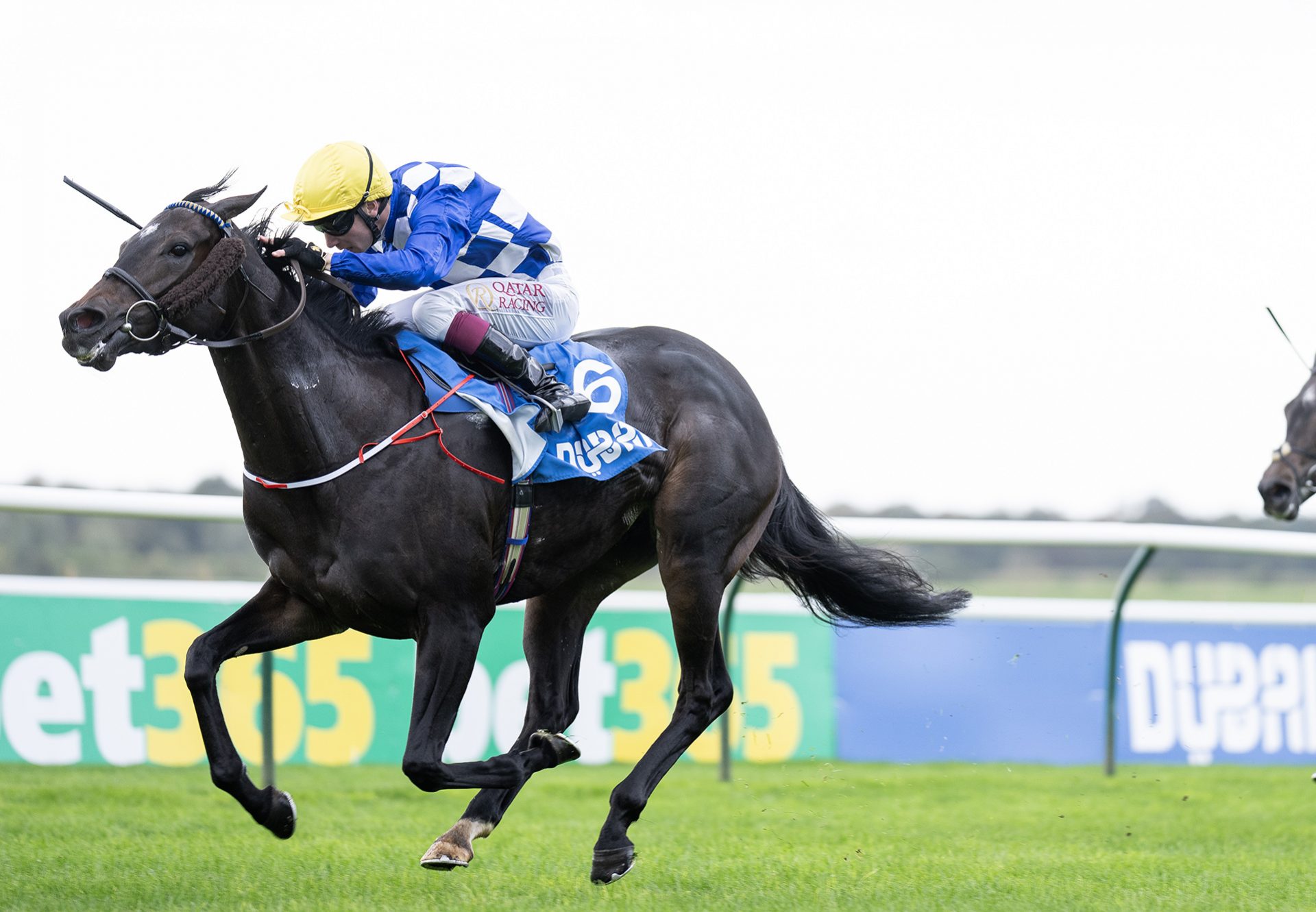 Matilda Picotte (Sioux Nation) winning the Gr.2 Challenge Stakes at Newmarket