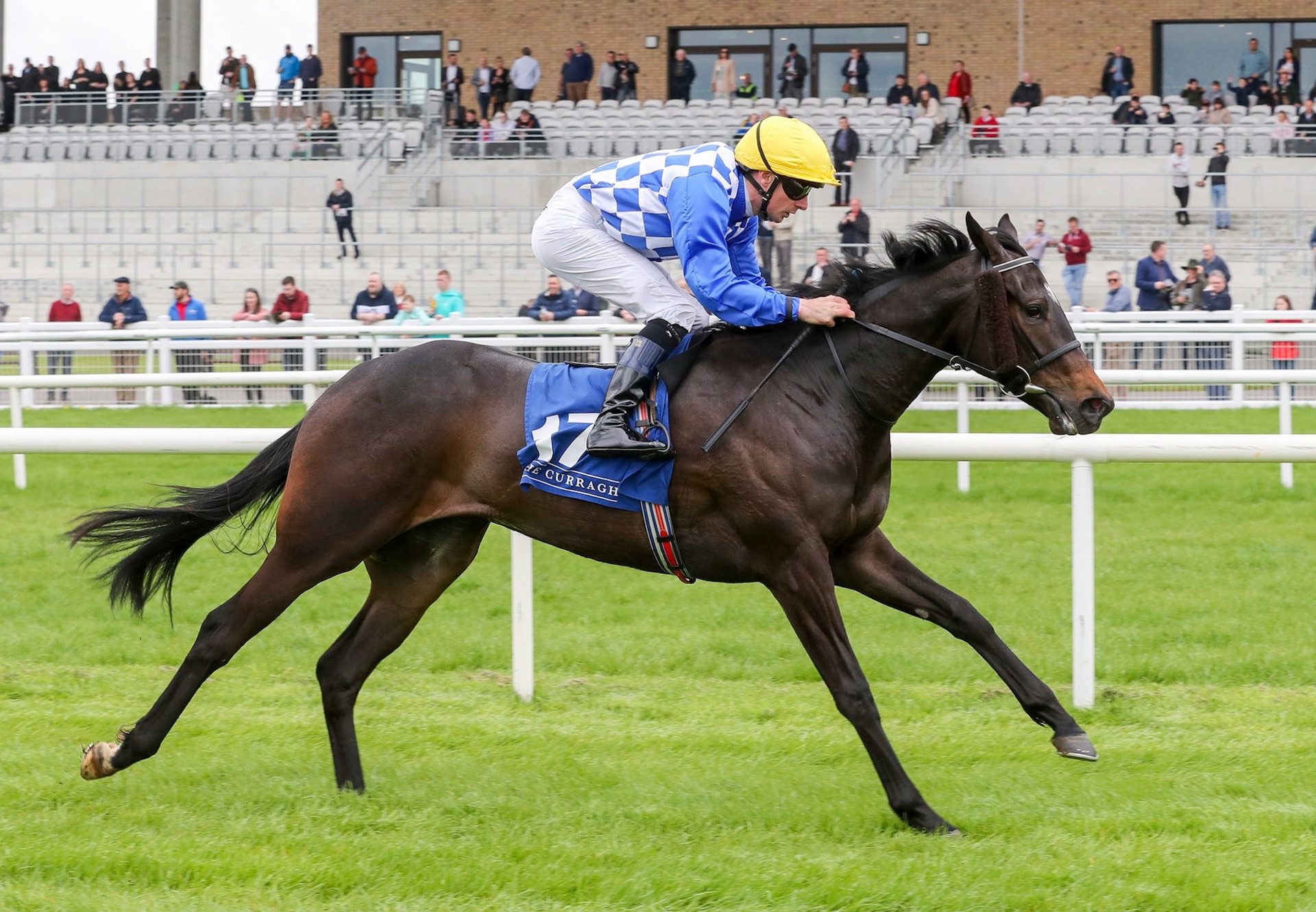 Matilda Picotte (Sioux Nation) Makes An Impressive Debut At The Curragh