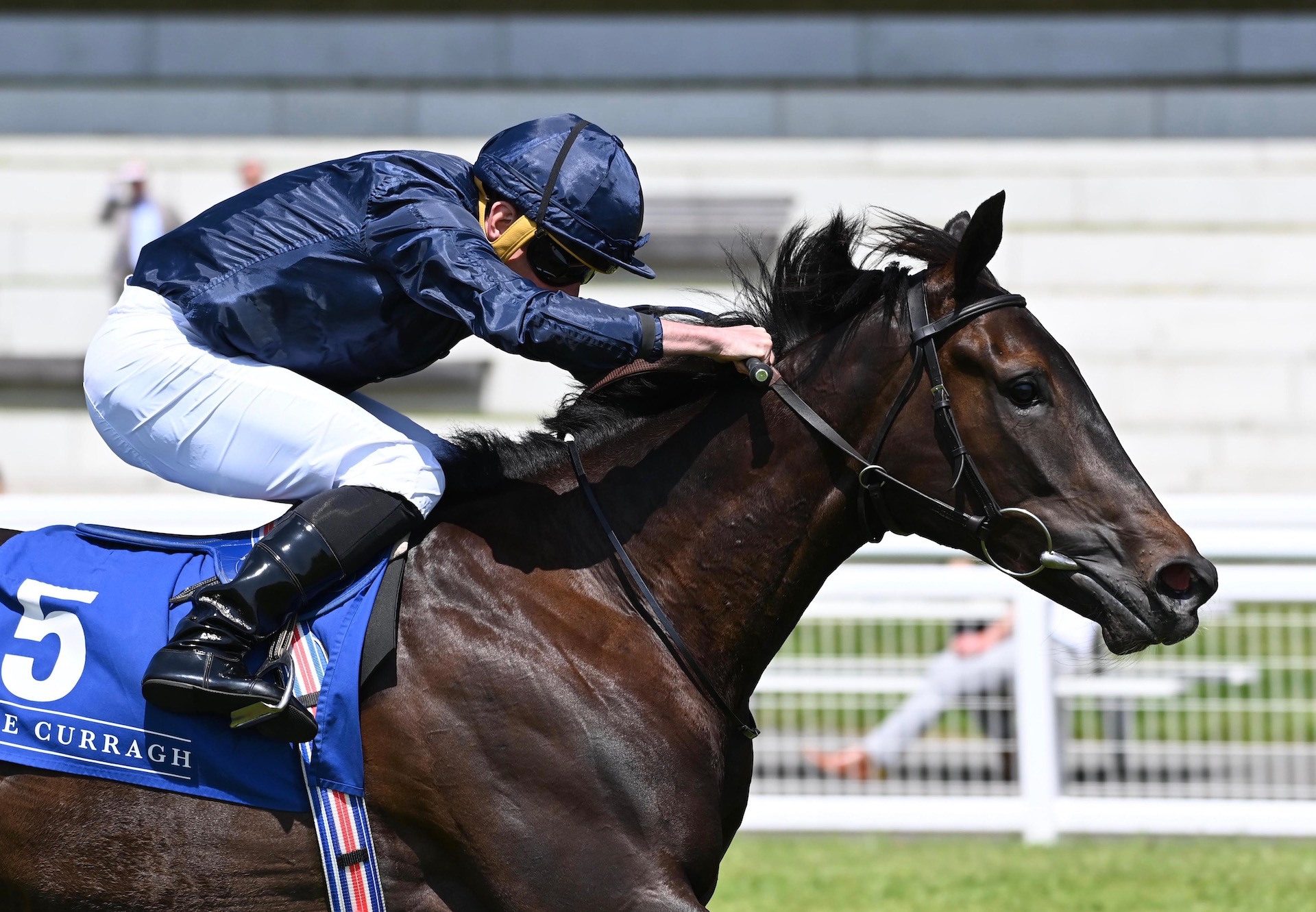 Matrika (No Nay Never) Wins On Debut At The Curragh