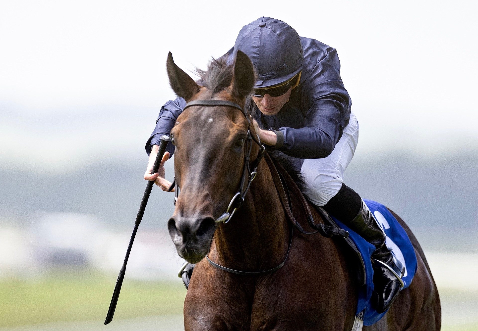 Matrika (No Nay Never) Wins The Group 2 Airlie Stud Stakes at the Curragh