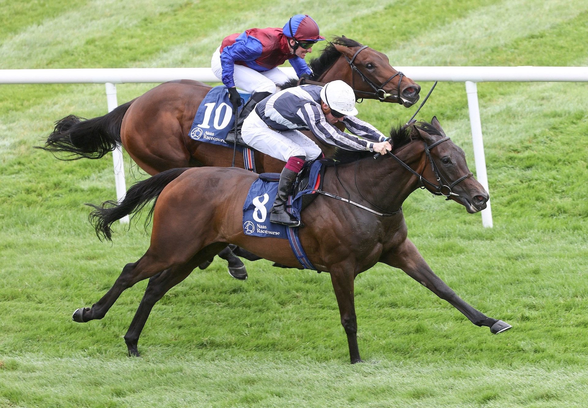 Matter Of Fact (No Nay Never) Wins Her Maiden At Naas