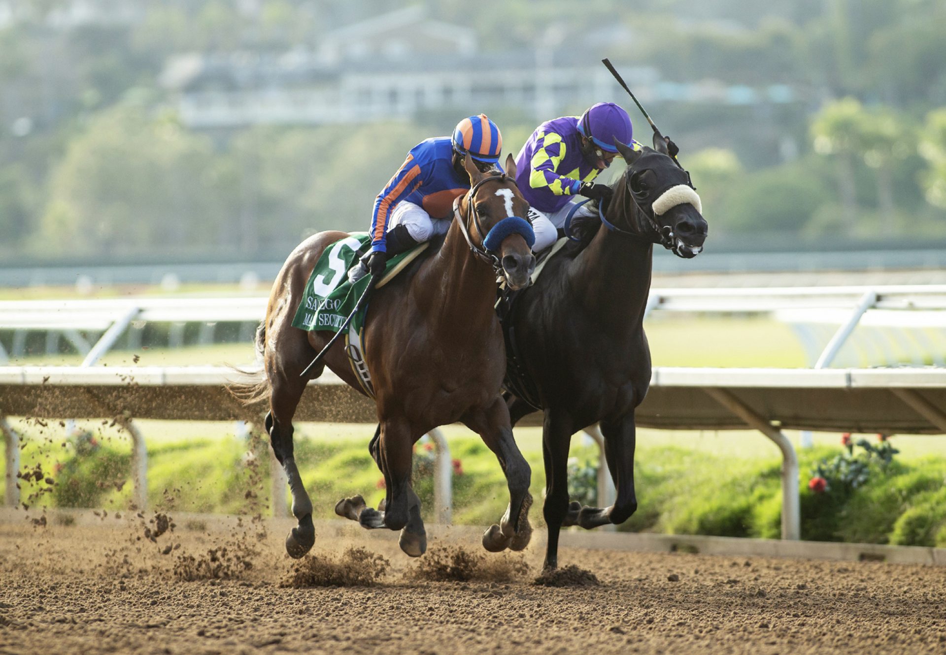 Maximum Security Wins Gr.2 San Diego At Del Mar