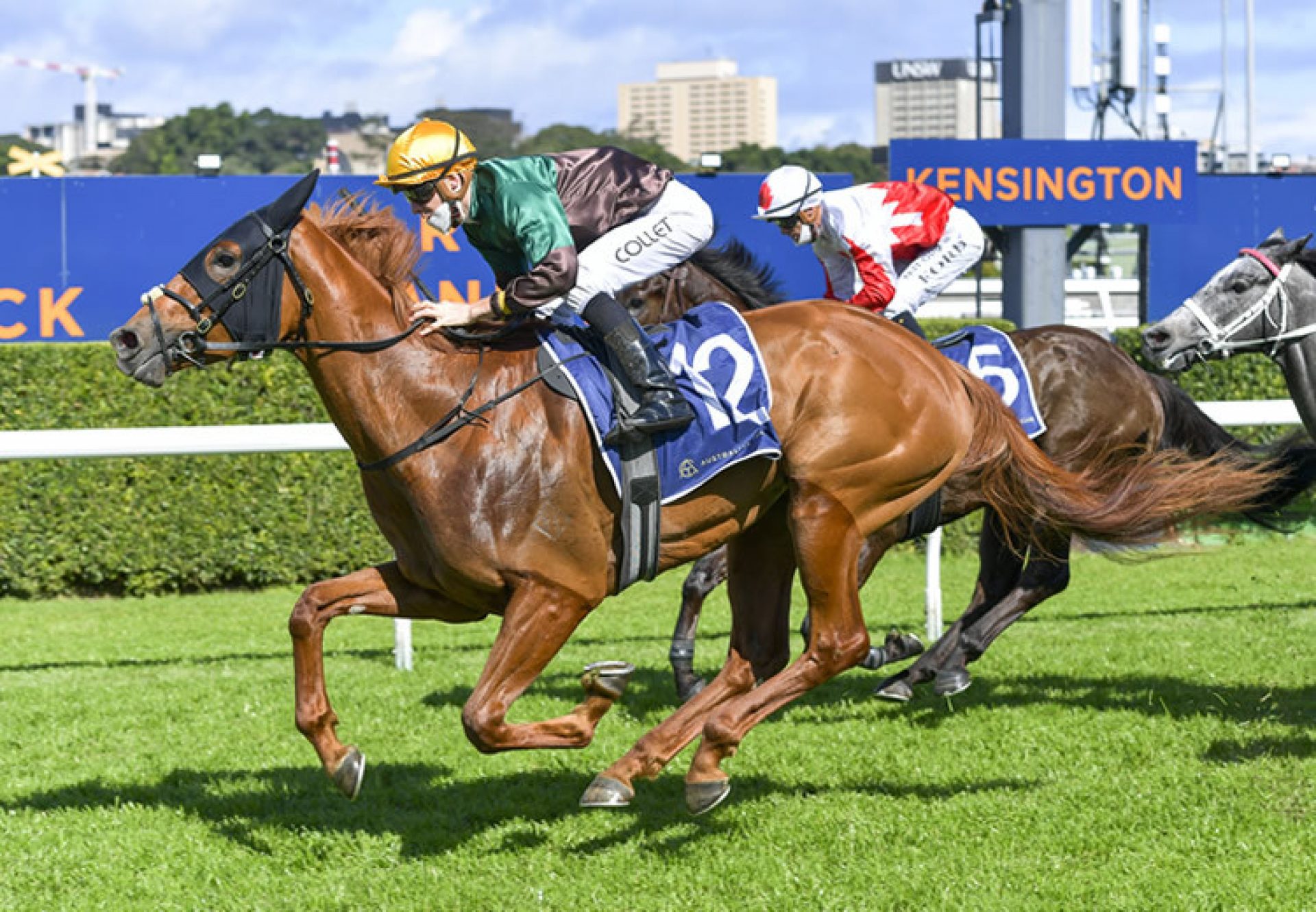 Mayrose (Pride Of Dubai) winning at Randwick