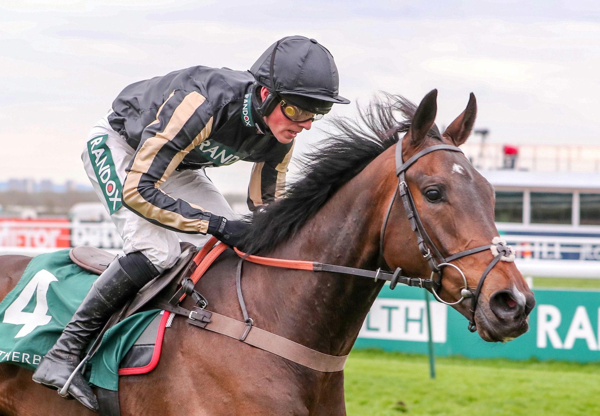 McFabulous By Milan Wins The Grade 2 Aintree Bumper