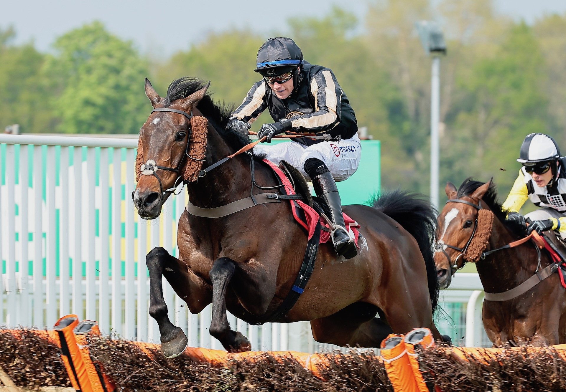 McFabulous (Milan) Wins The Grade 2 Select Hurdle At Sandown