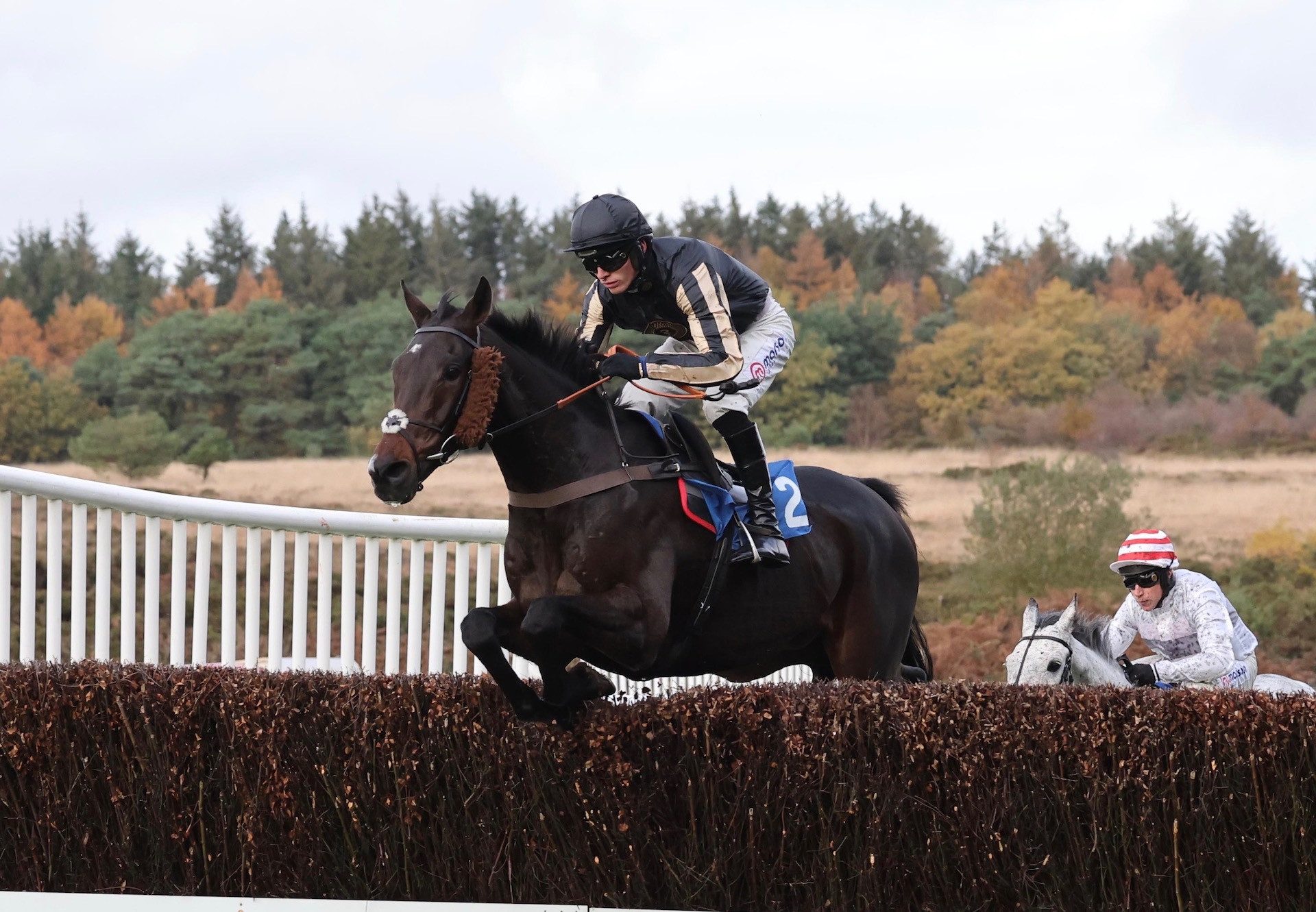 Mc Fabulous (Milan) Wins The Novices Chase At Exeter