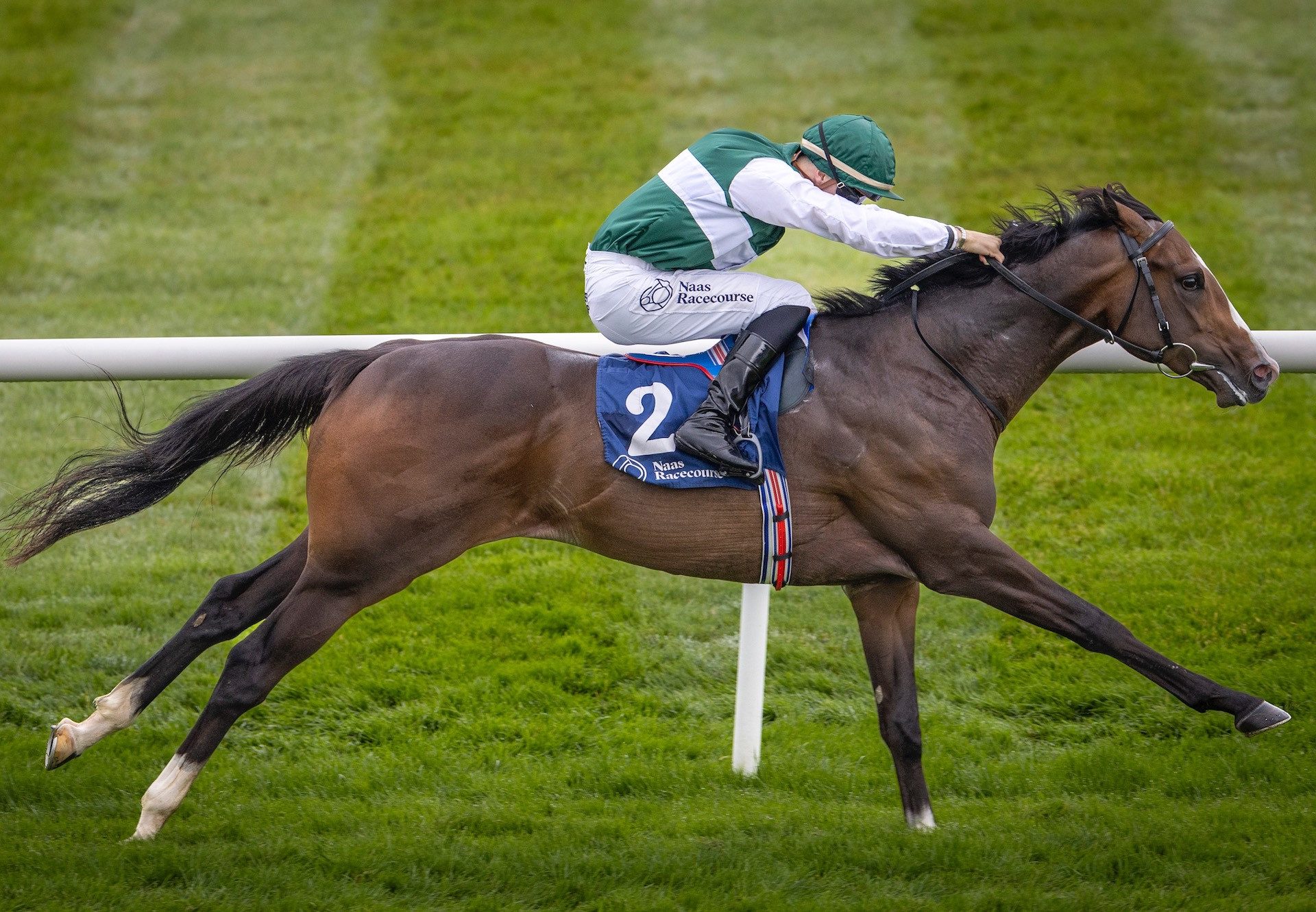 McTenett (Starspangledbanner) Wins His Maiden At Naas