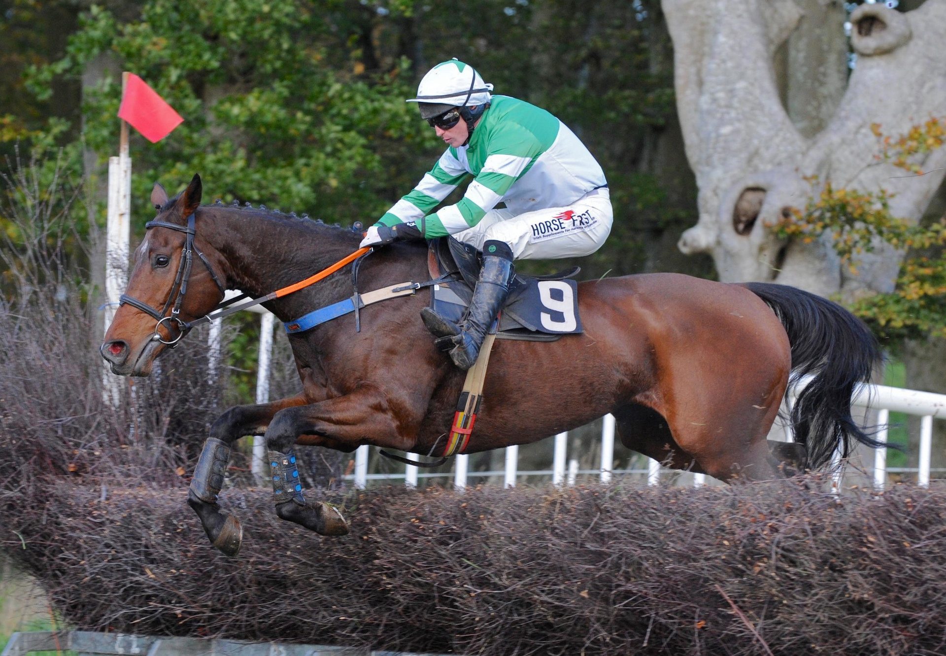 McGarry (Mahler) Wins At Loughanmore