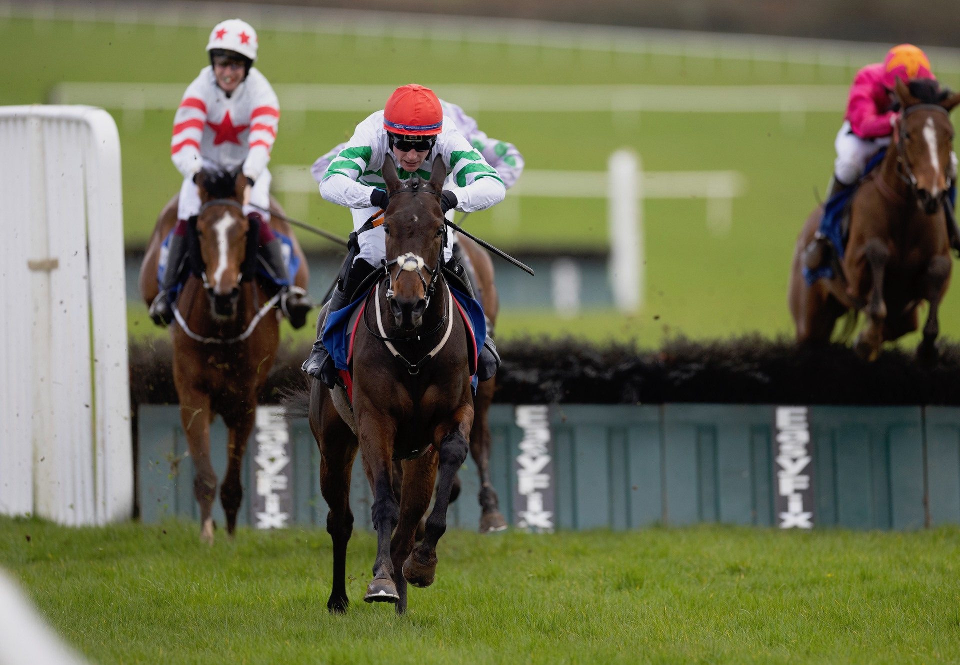 Media Naranja (Yeats) Wins The Fillies Maiden Hurdle At Limerick