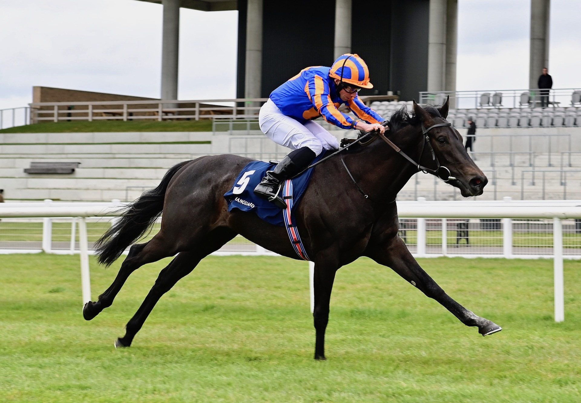 Meditate (No Nay Never) Impresses On Debut At The Curragh