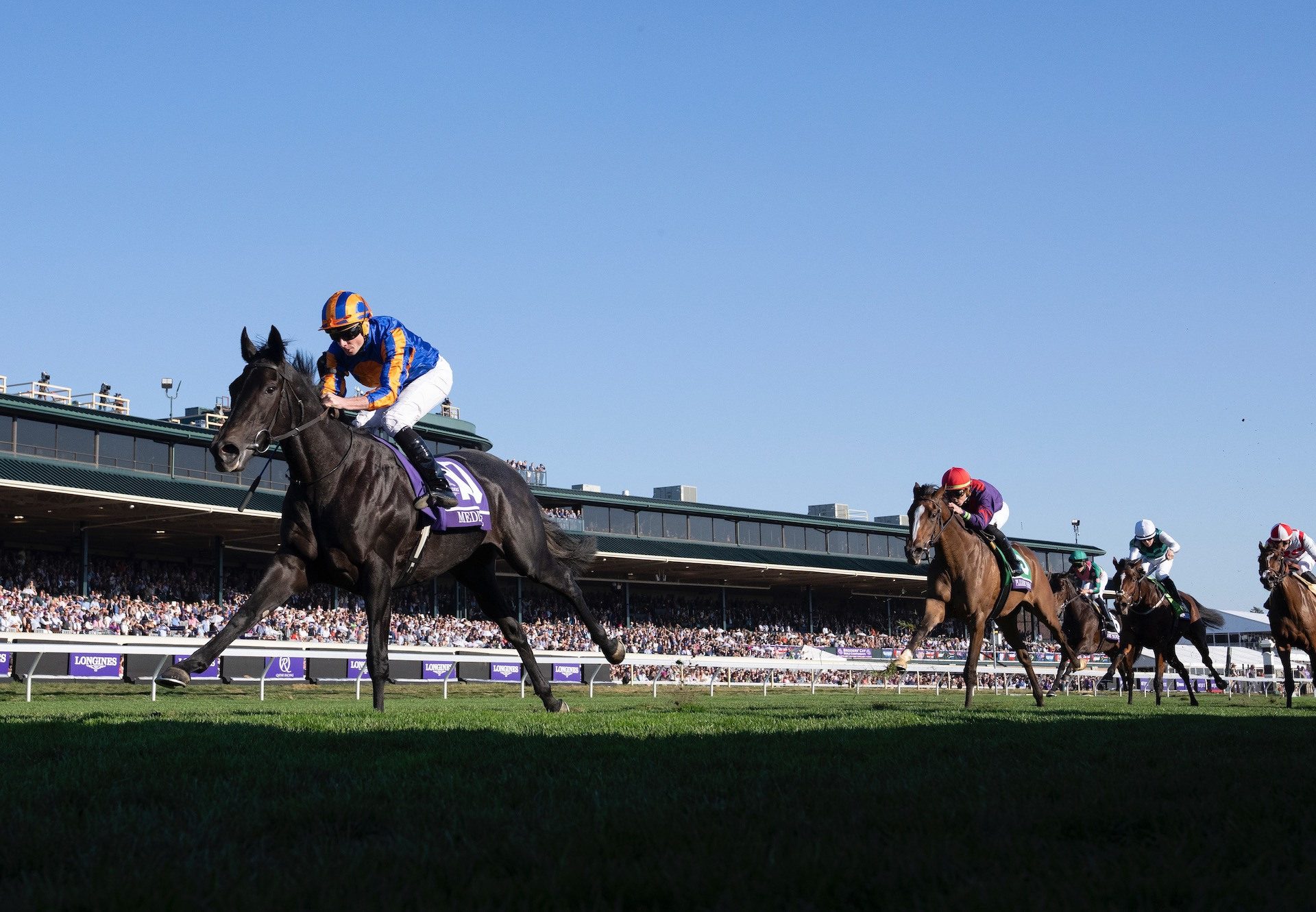 Meditate (No Nay Never) Wins The Grade 1 Breeders’ Cup Juvenile Fillies Turf at Keeneland