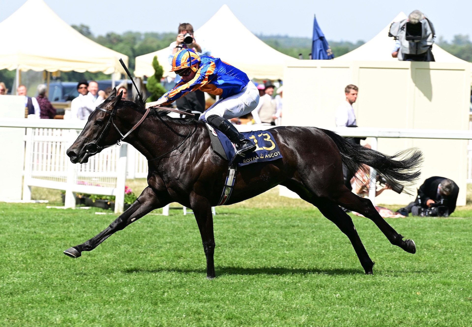 Meditate (No Nay Never) Wins The Group 3 Albany Stakes At Royal Ascot