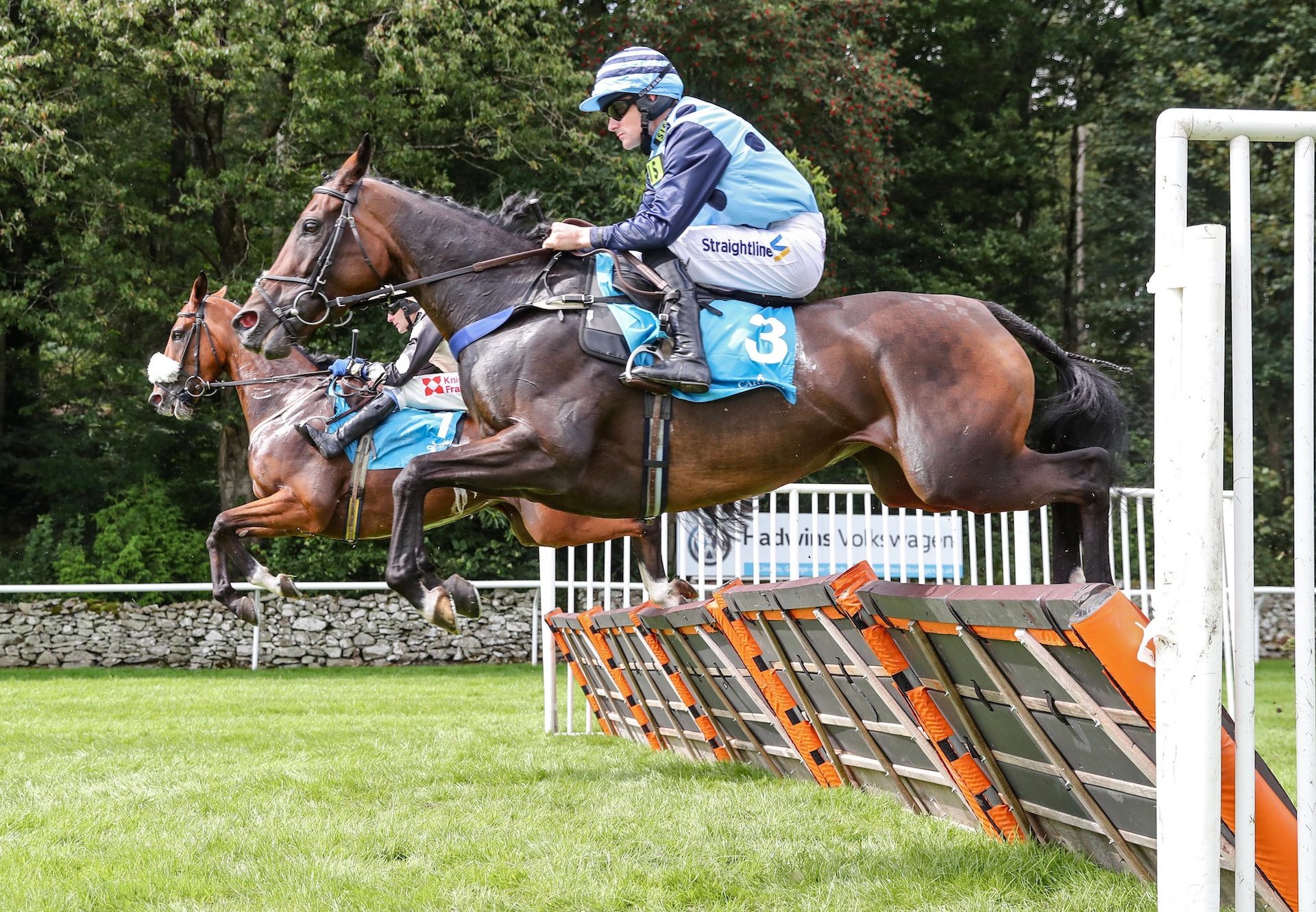 Mega Double Gains Her Second Hurdle Win Resized