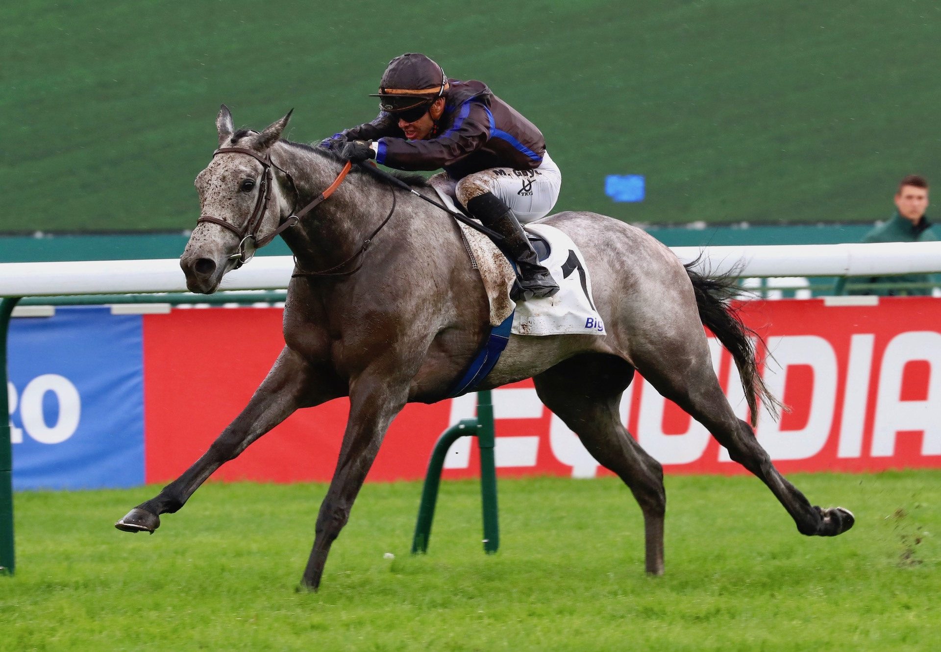 Melo Melo (Gleneagles) Wins The Listed Prix Gold River at Longchamp