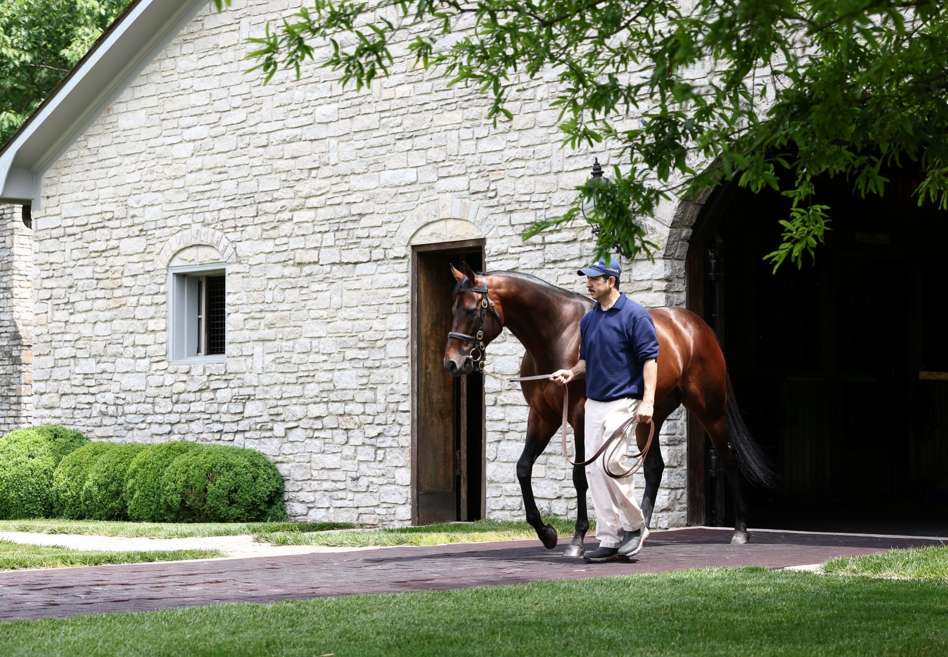 Mendelssohn At Stables