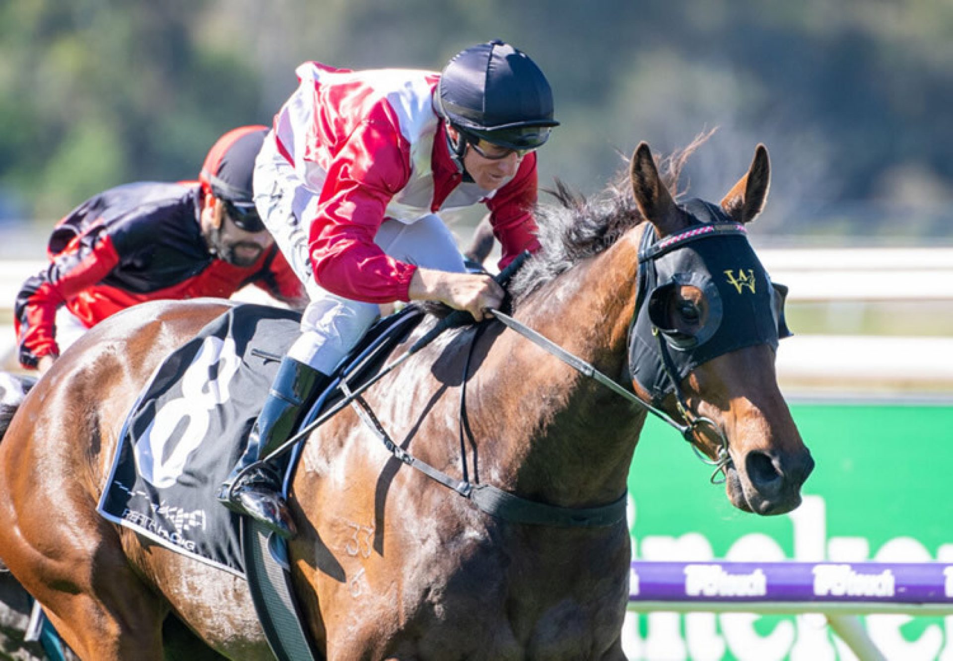 Midnight Blue (So You Think) winning the Ascot Gold Cup in Perth