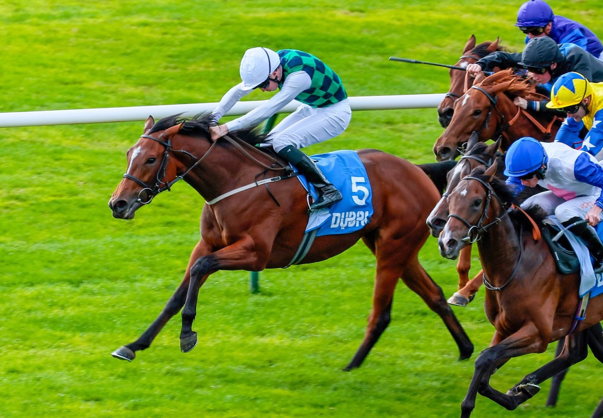 Midnight Mile (No Nay Never) Wins The Group 3 Oh So Sharp Stakes at Newmarket