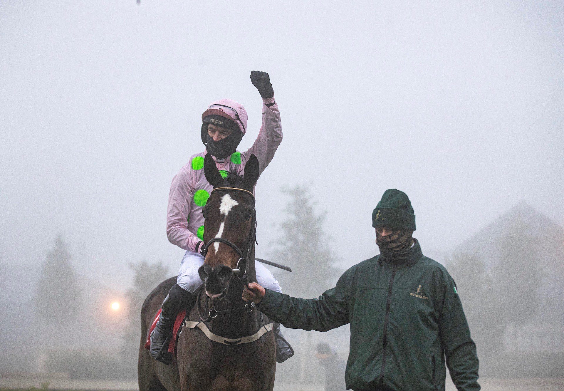 Min (Walk In The Park) After Winning His Third Grade 1 John Durkan Chase at Punchestown