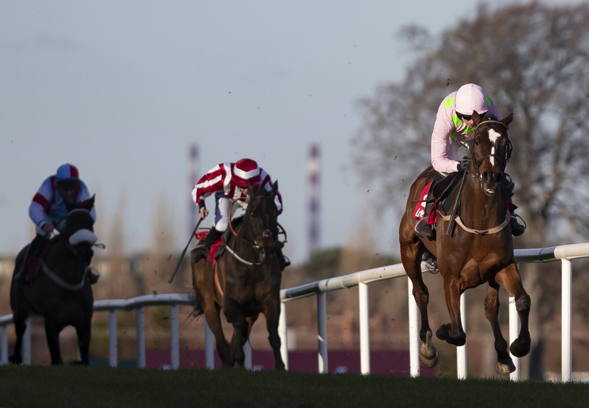 Min (Walk In The Park) Wins The Grade 1 Ladbrokes Dublin Chase