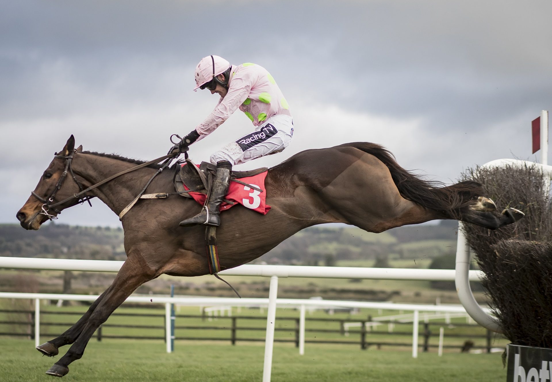 Min (Walk In The Park) winning the Gr.1 John Durkhan Memorial Punchestown Chase