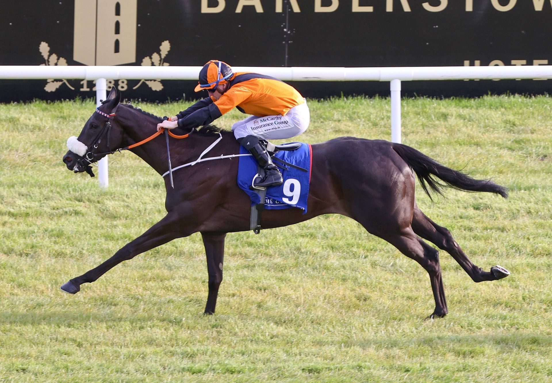 Miracle Nation (Sioux Nation) Wins Her Maiden at the Curragh