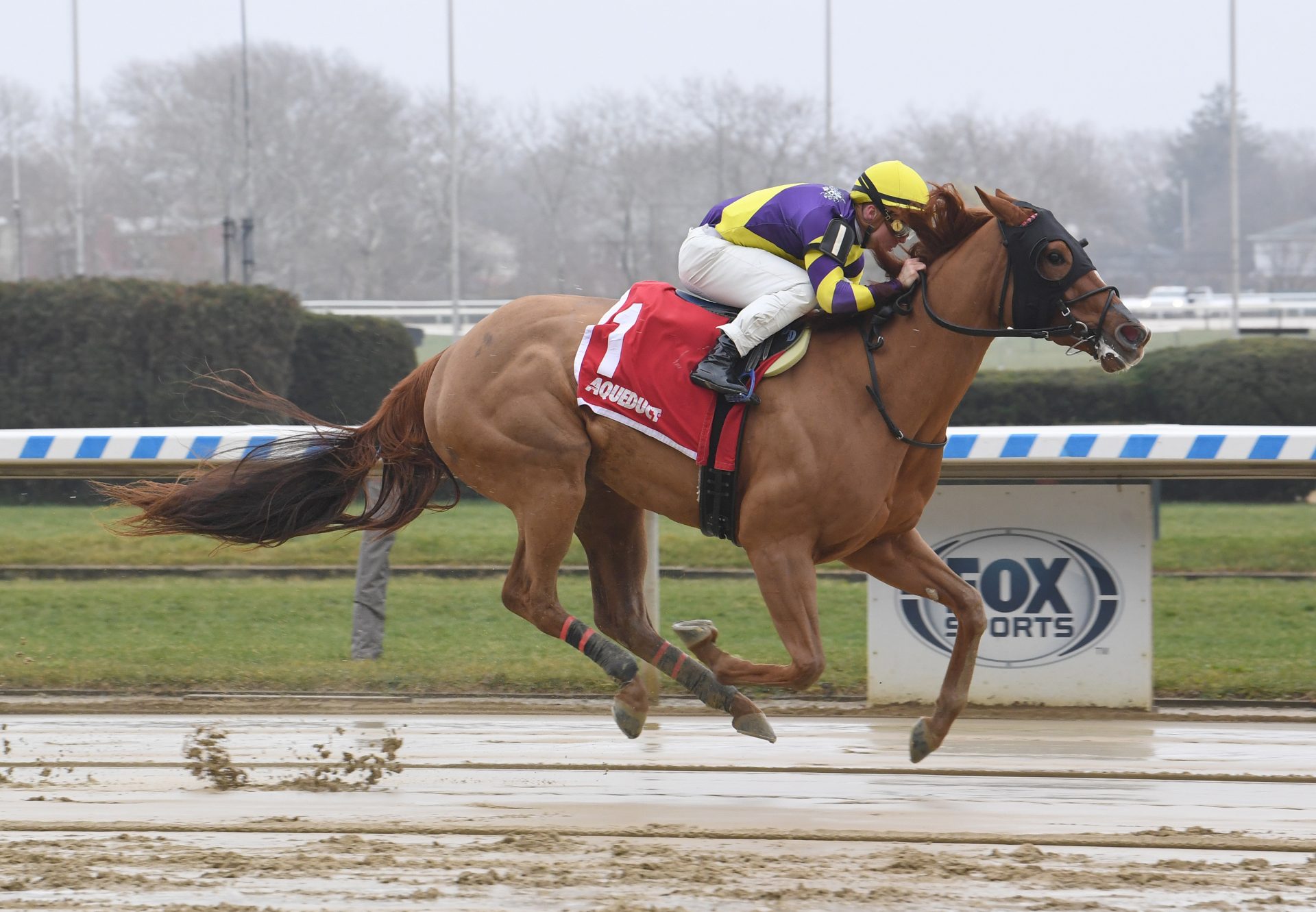 Mischievous Diane (Practical Joke) Aqueduct MSW