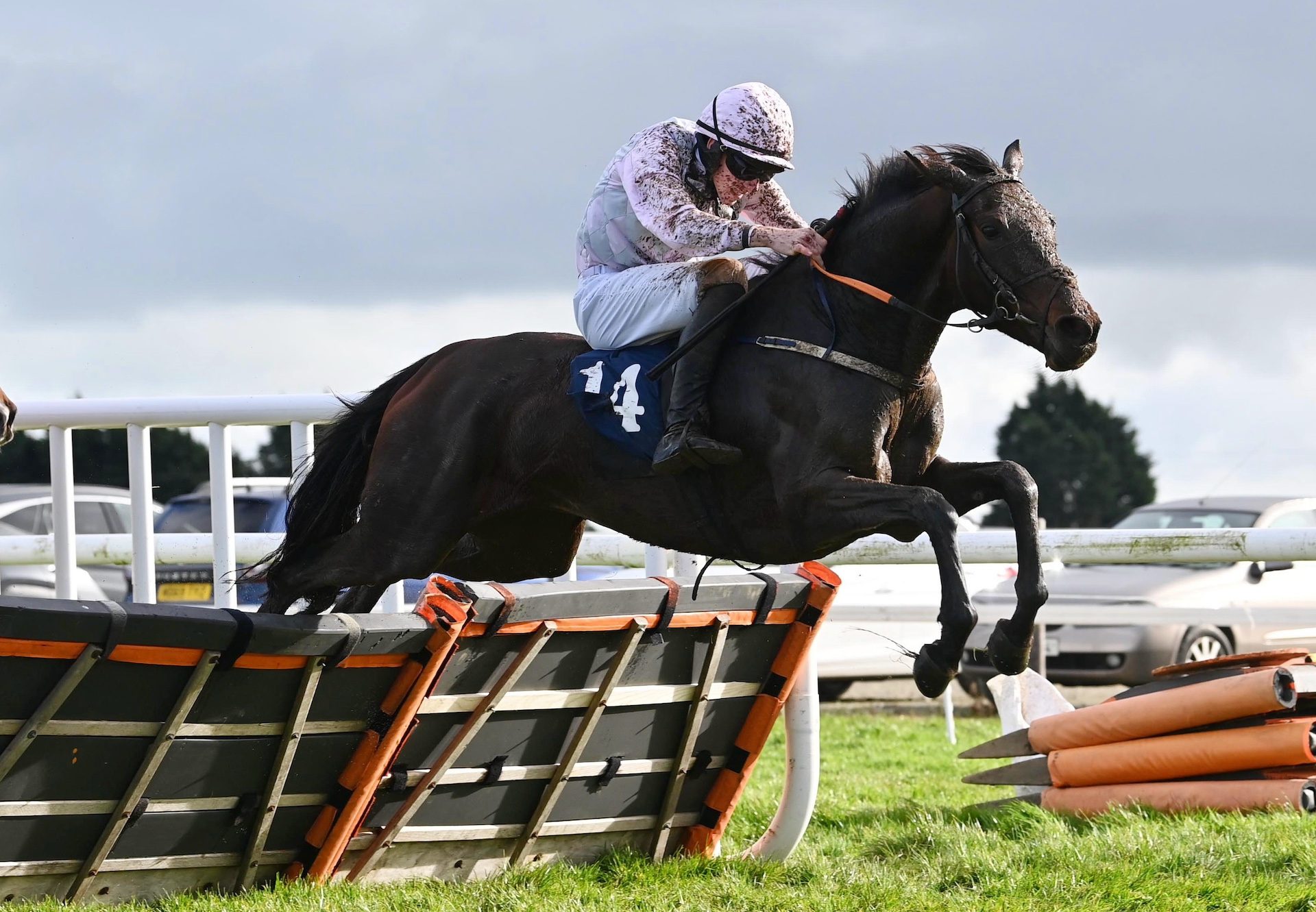 Miss Maxfort (Order of St George) Wins Her Maiden Hurdle At Wexford