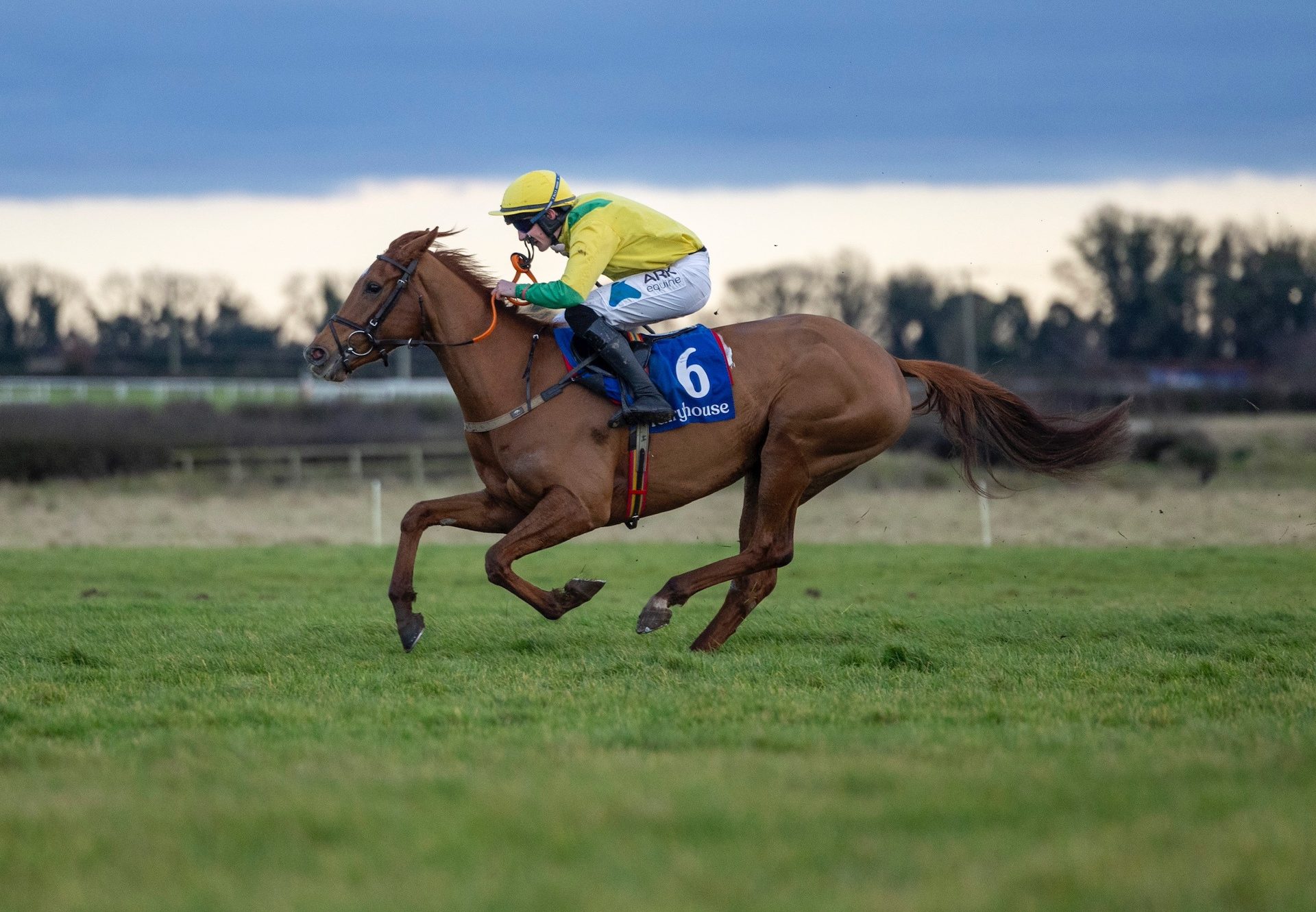 Miss Mini Bee (Soldier Of Fortune) Wins On Debut at Fairyhouse