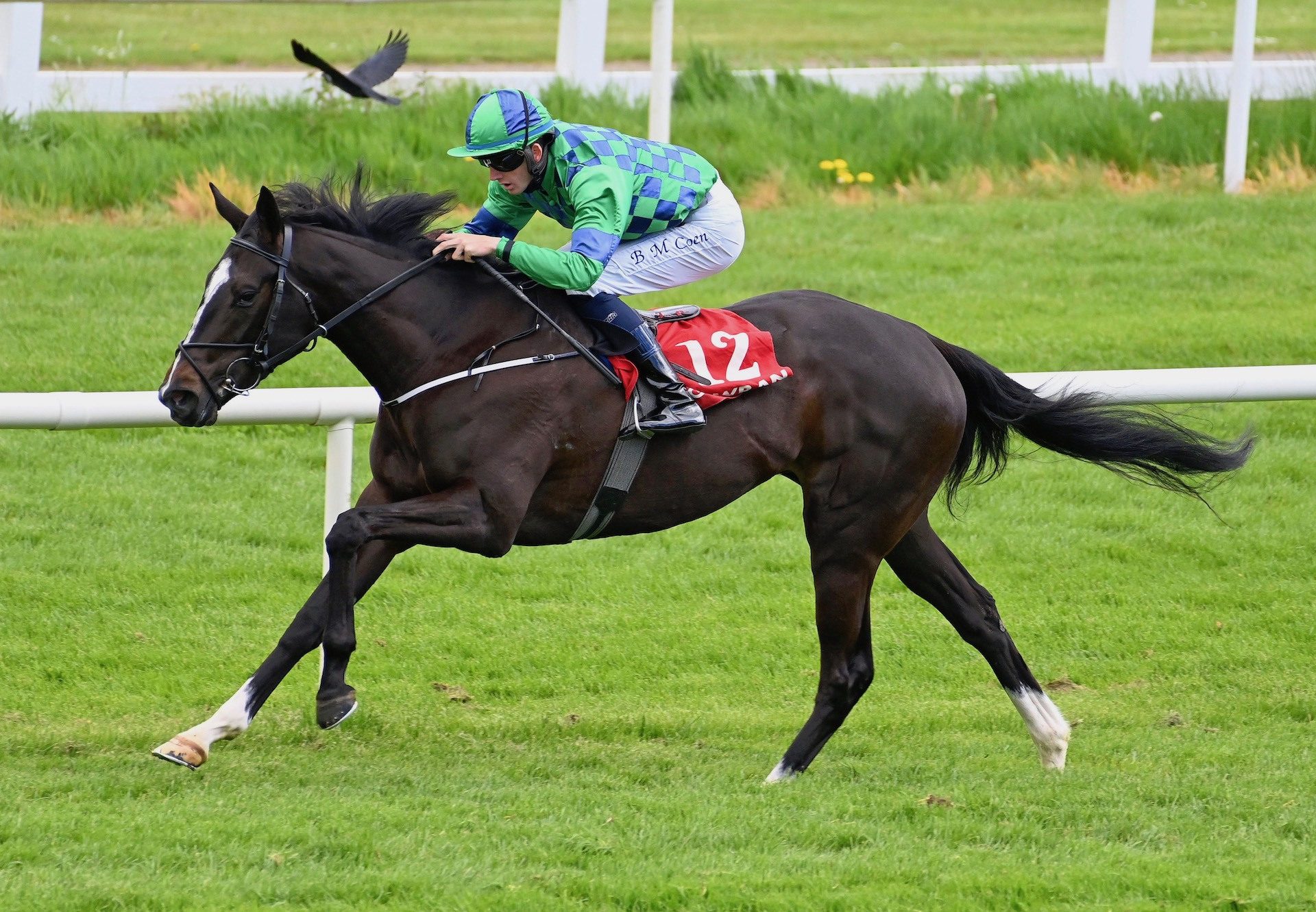 Miss Mirabell (Footstepsinthesand) Wins At Gowran Park