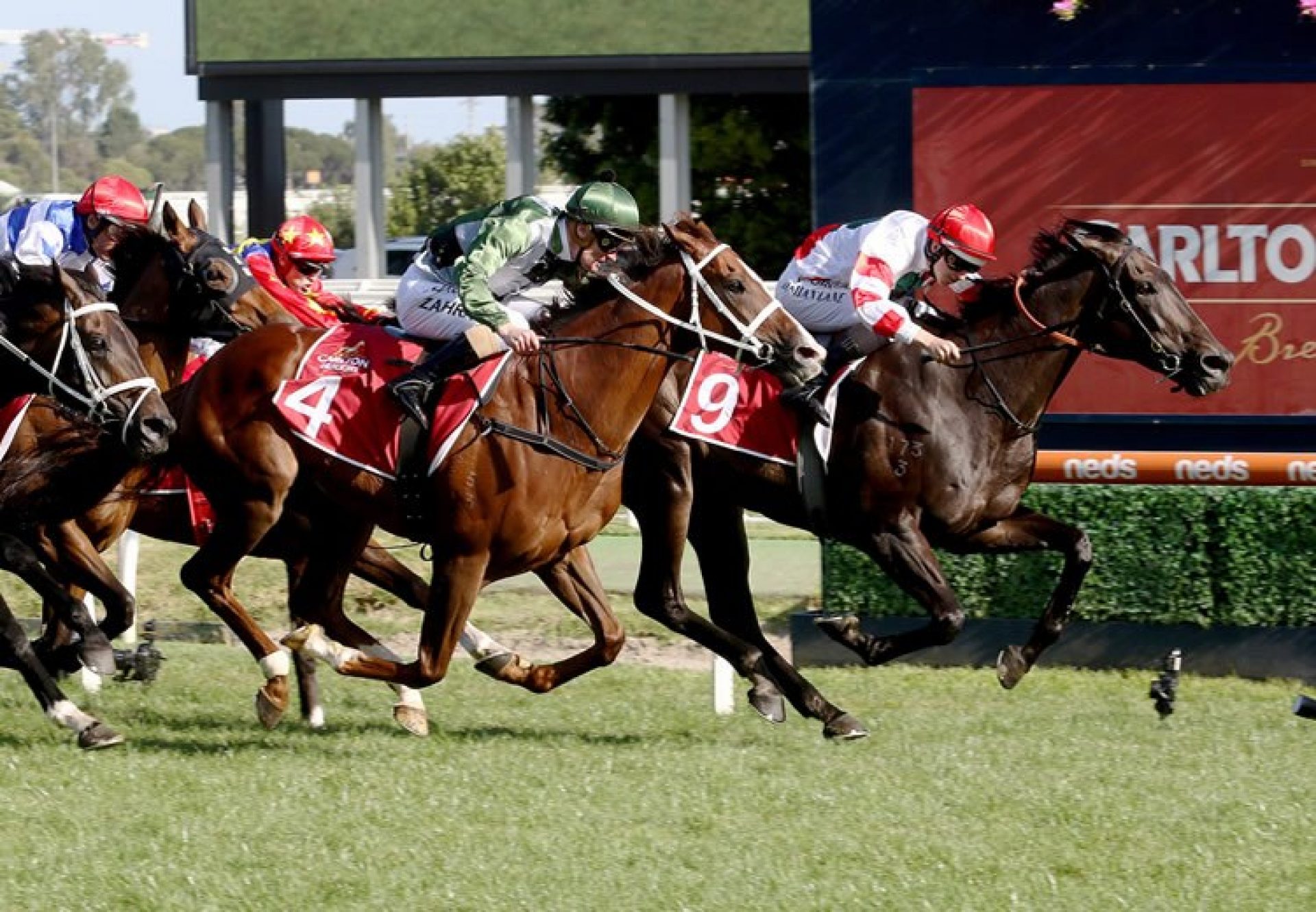 Miss Siska (So You Think) winning the Gr.2 Peter Young stakes at Caulfield