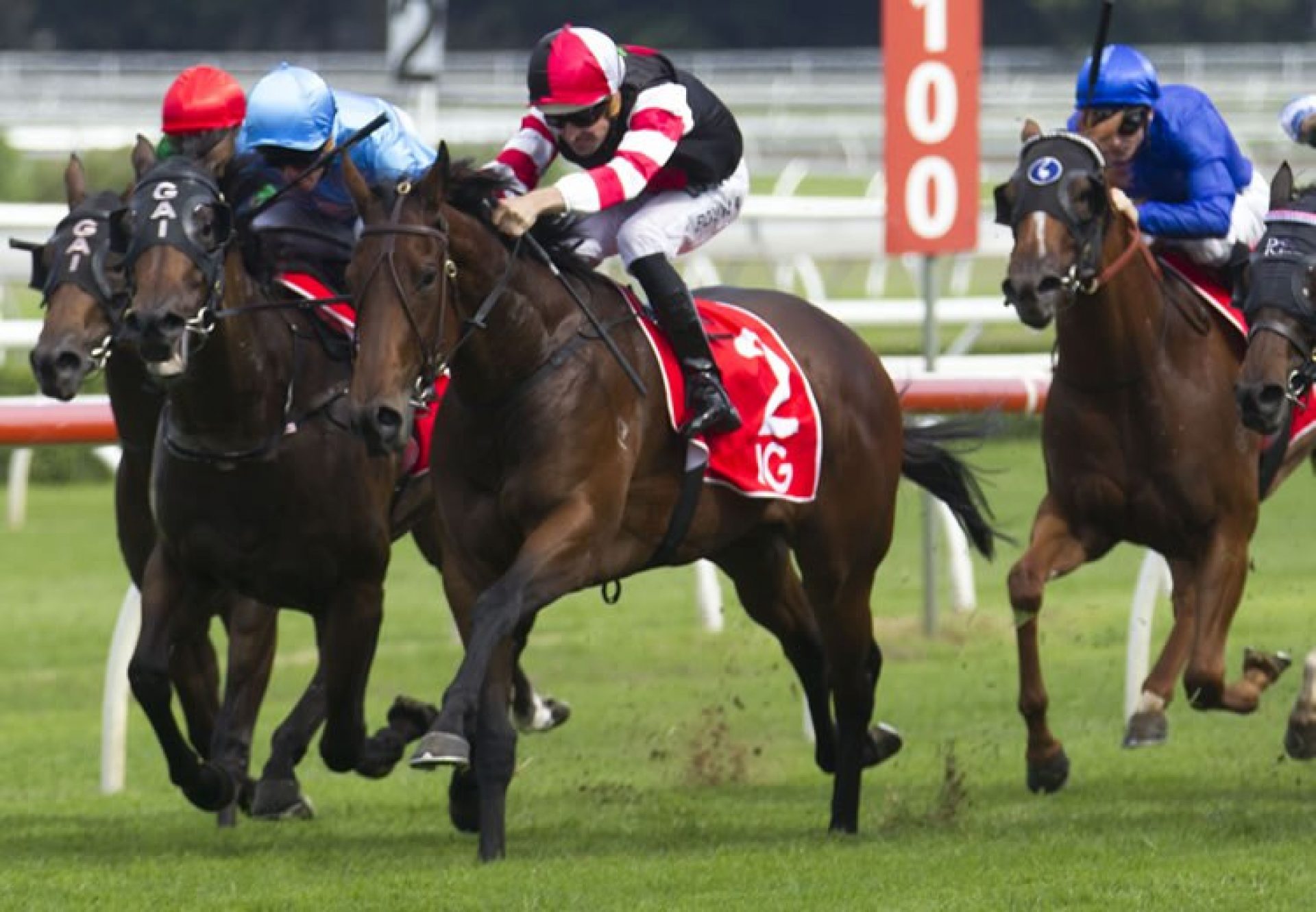 Missrock (Fastnet Rock) winning the Listed MVRC Norman Carlyon Stakes