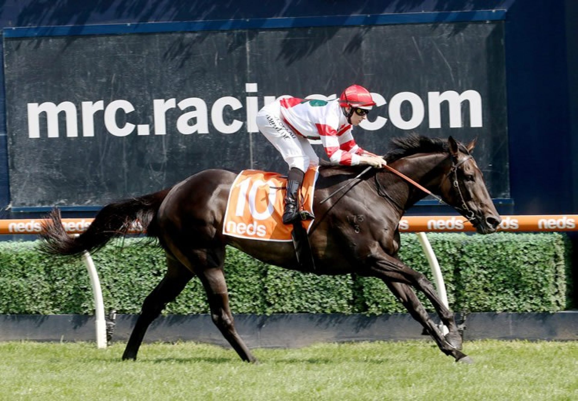 Miss Siska (So You Think) winning the Gr.3 Carlyon Cup at Caulfield