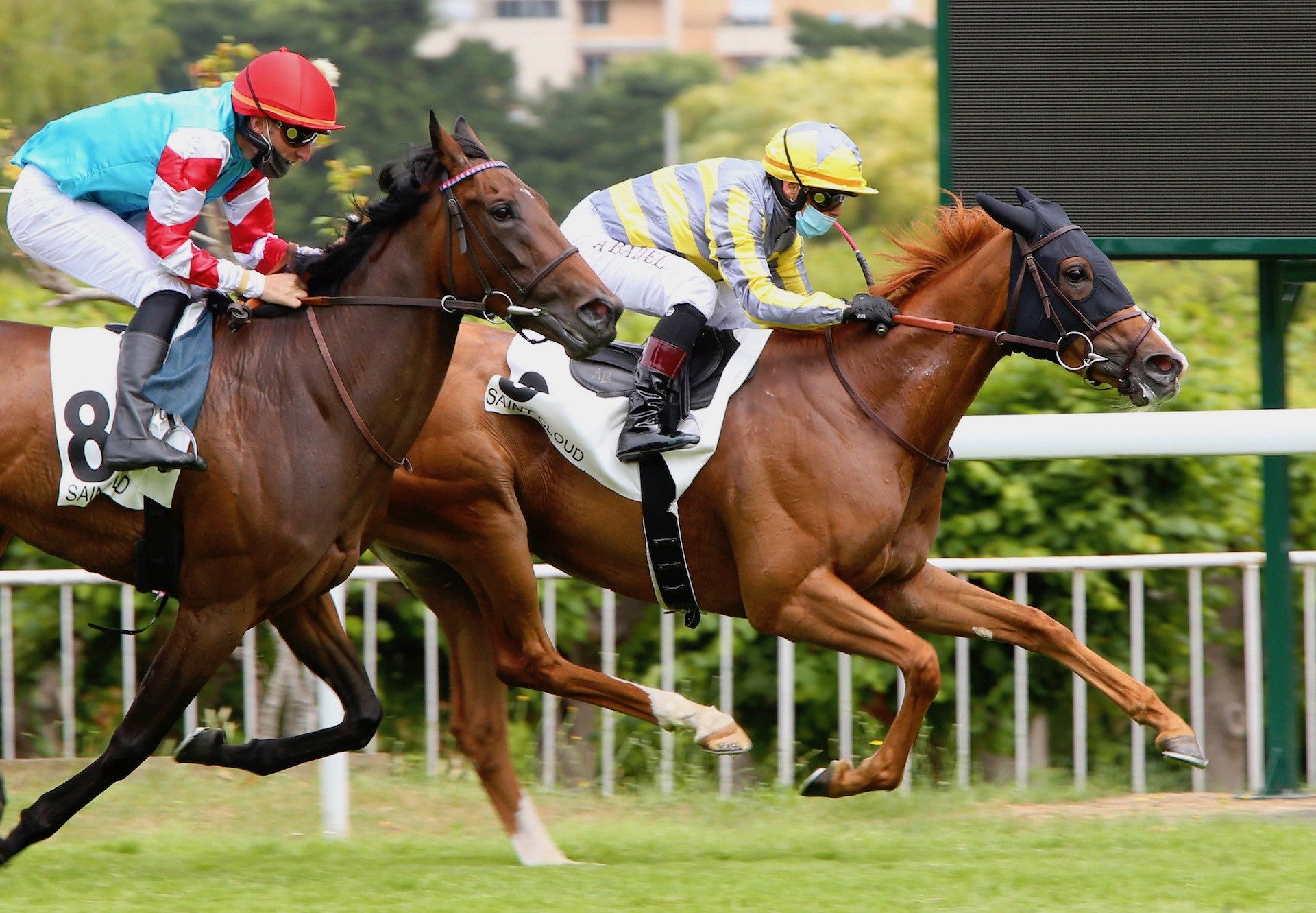 Missy Perfect (Gleneagles) Wins The Prix Gris Perle at Saint-Cloud