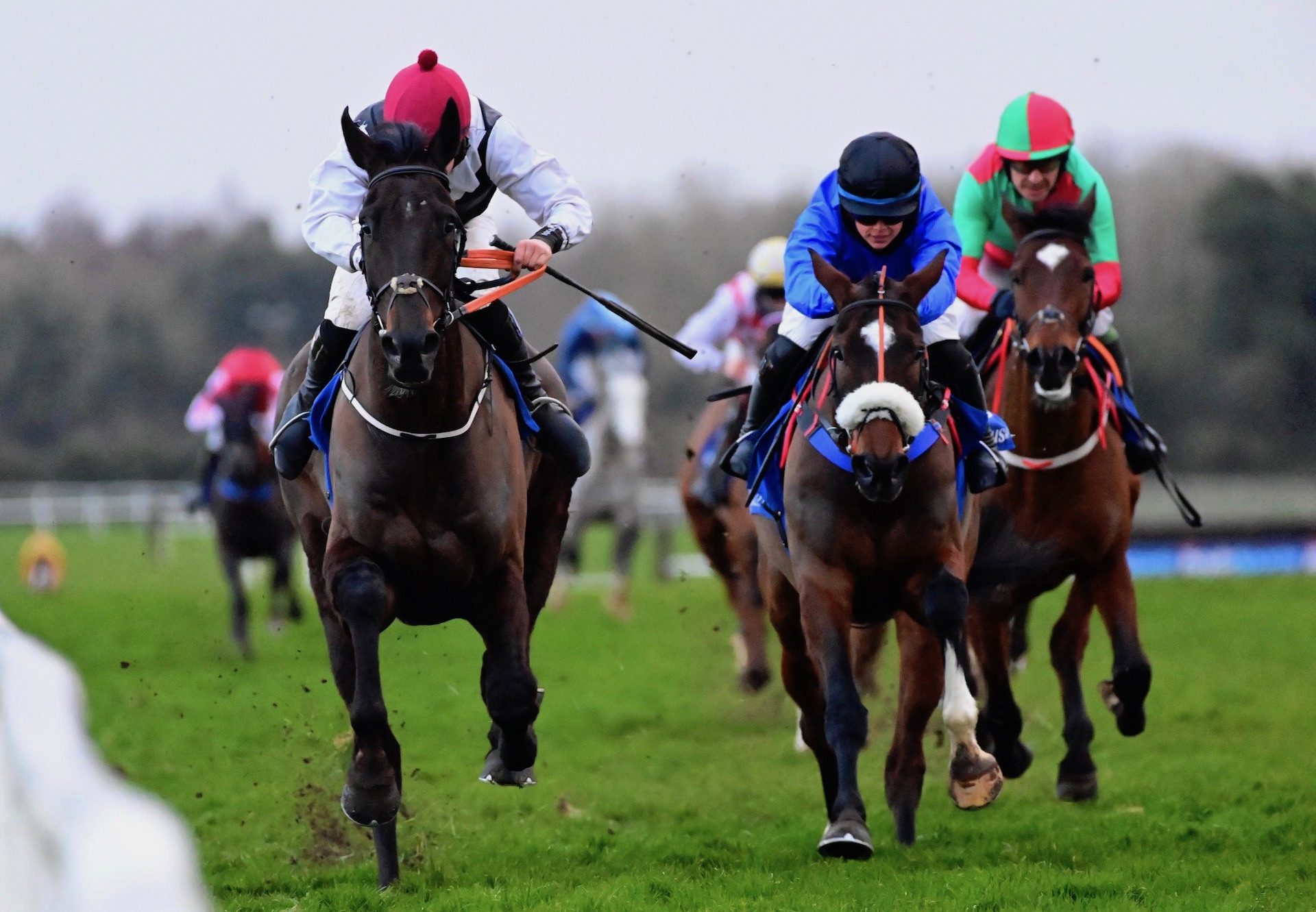 Mister Bo (Getaway) Makes A Winning Debut At Fairyhouse