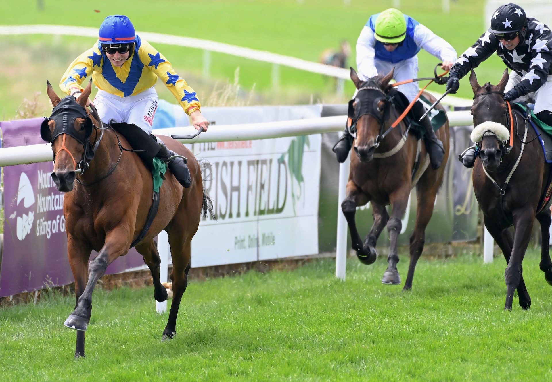 Mister Twist (Yeats) Wins The Maiden Hurdle At Downpatrick