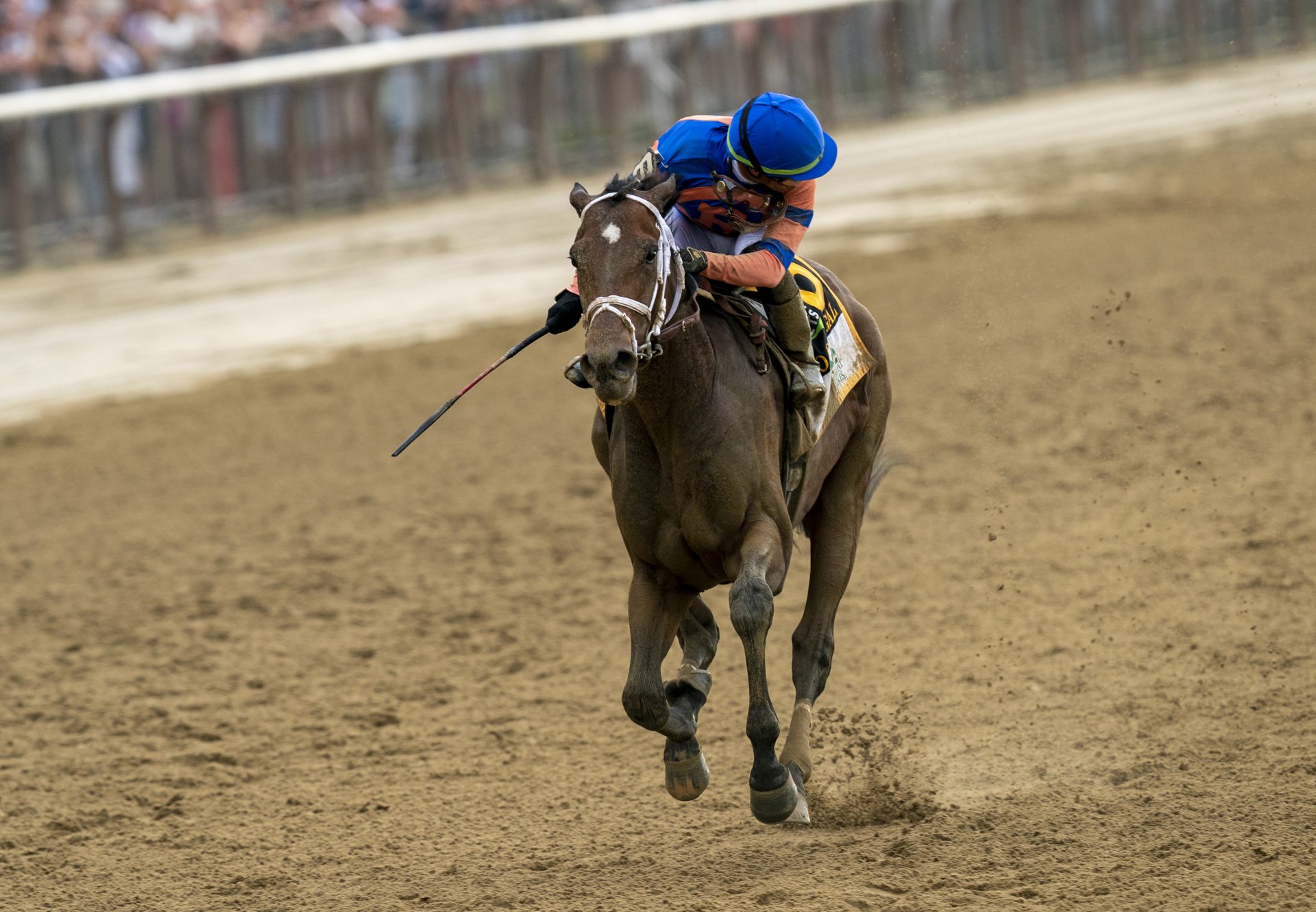 Mo Donegal (Uncle Mo) winning the Gr.1 Belmont Stakes