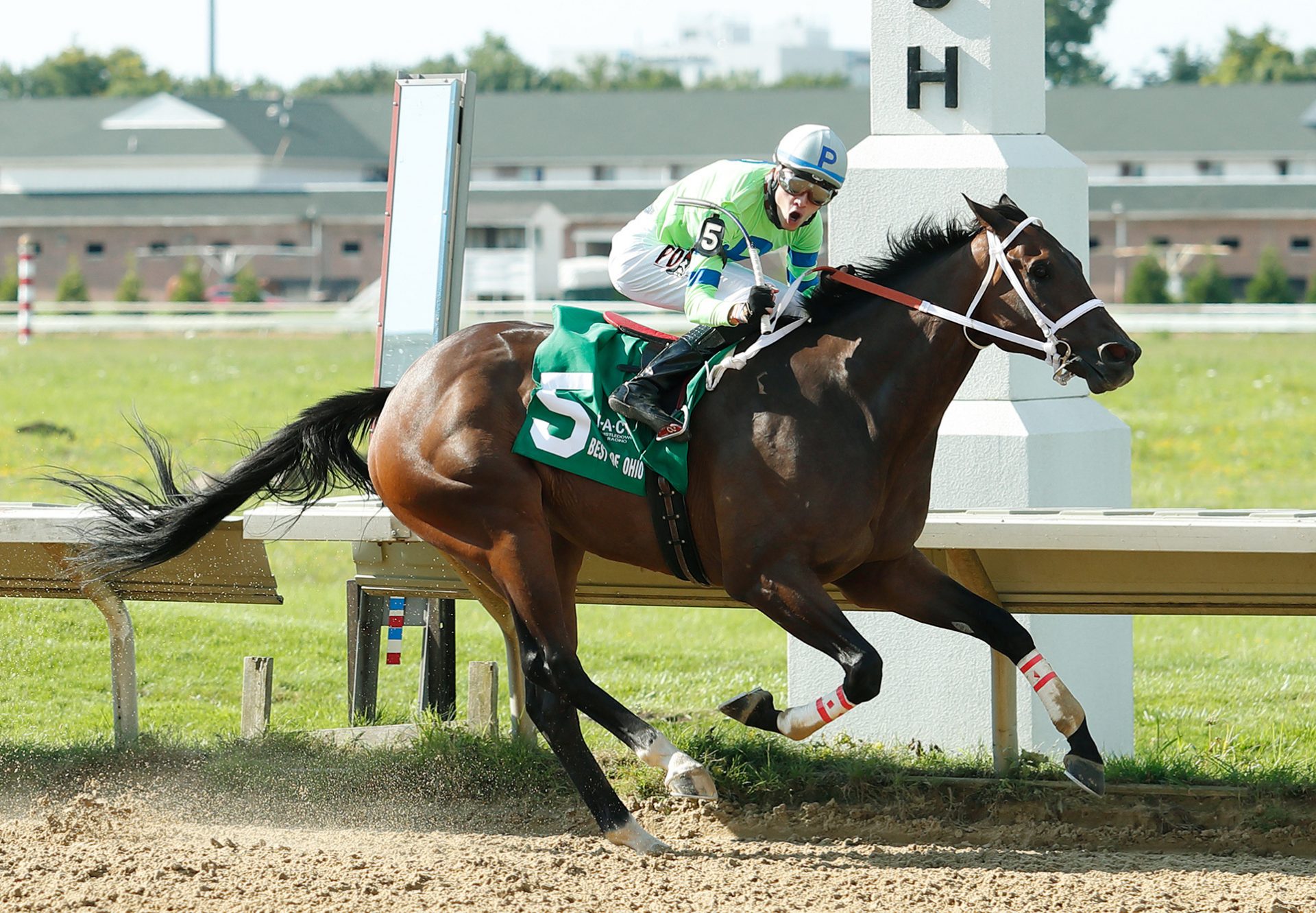 Mo Dont No (Uncle Mo) Wins Buckeye Cup at Thistledown