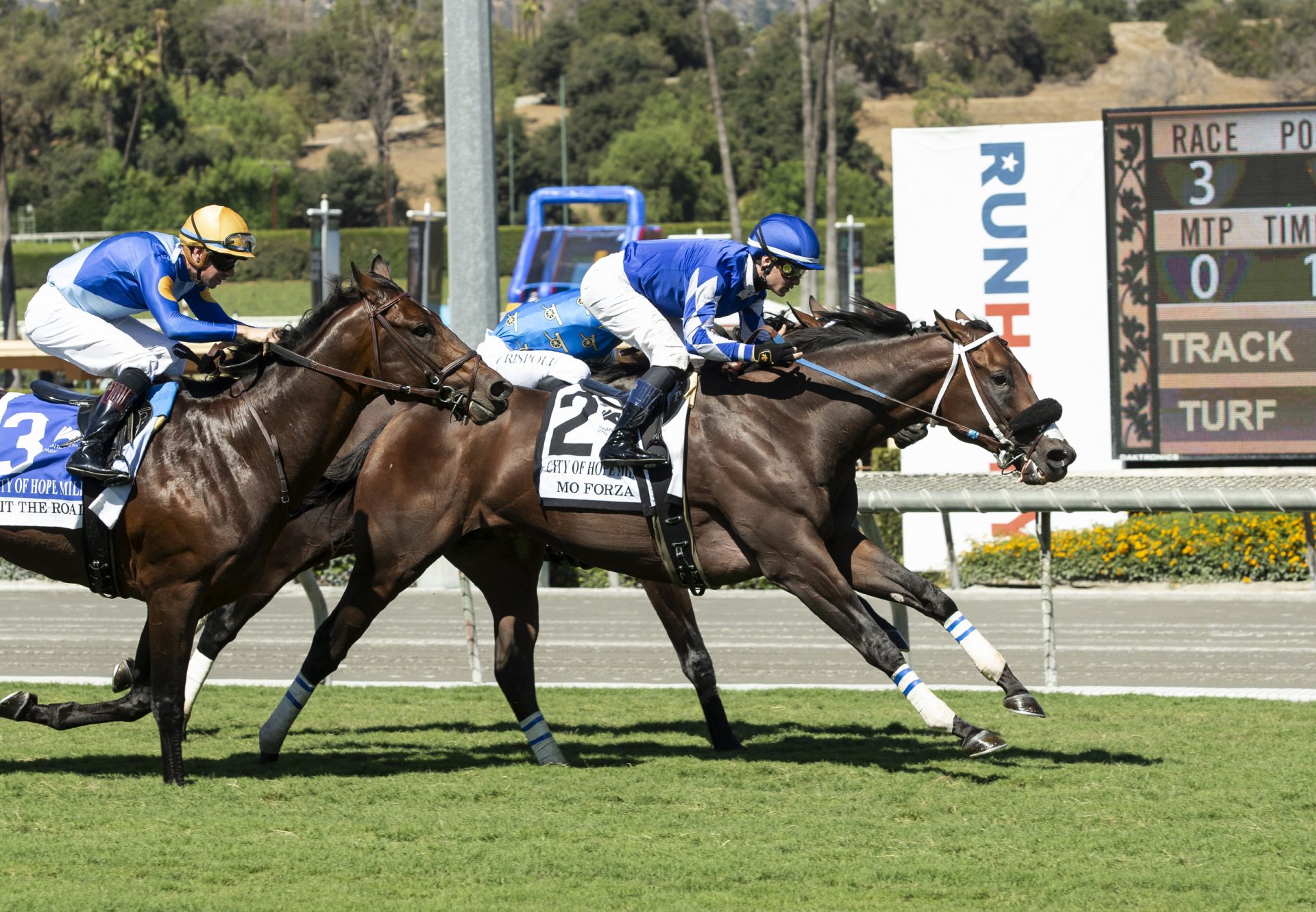 Mo Forza (Uncle Mo) wins the Gr.2 City Of Hope Stakes at Santa Anita