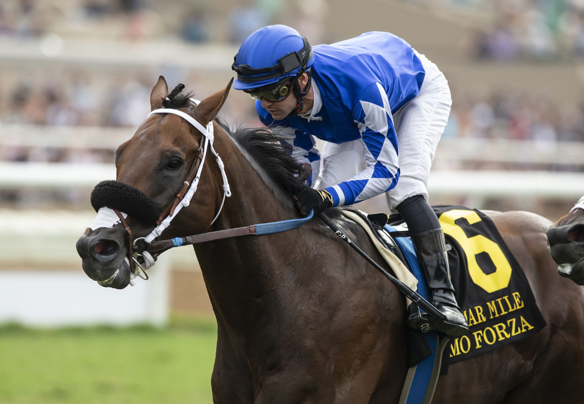 Mo Forza (Uncle Mo) Wins Del Mar Mile