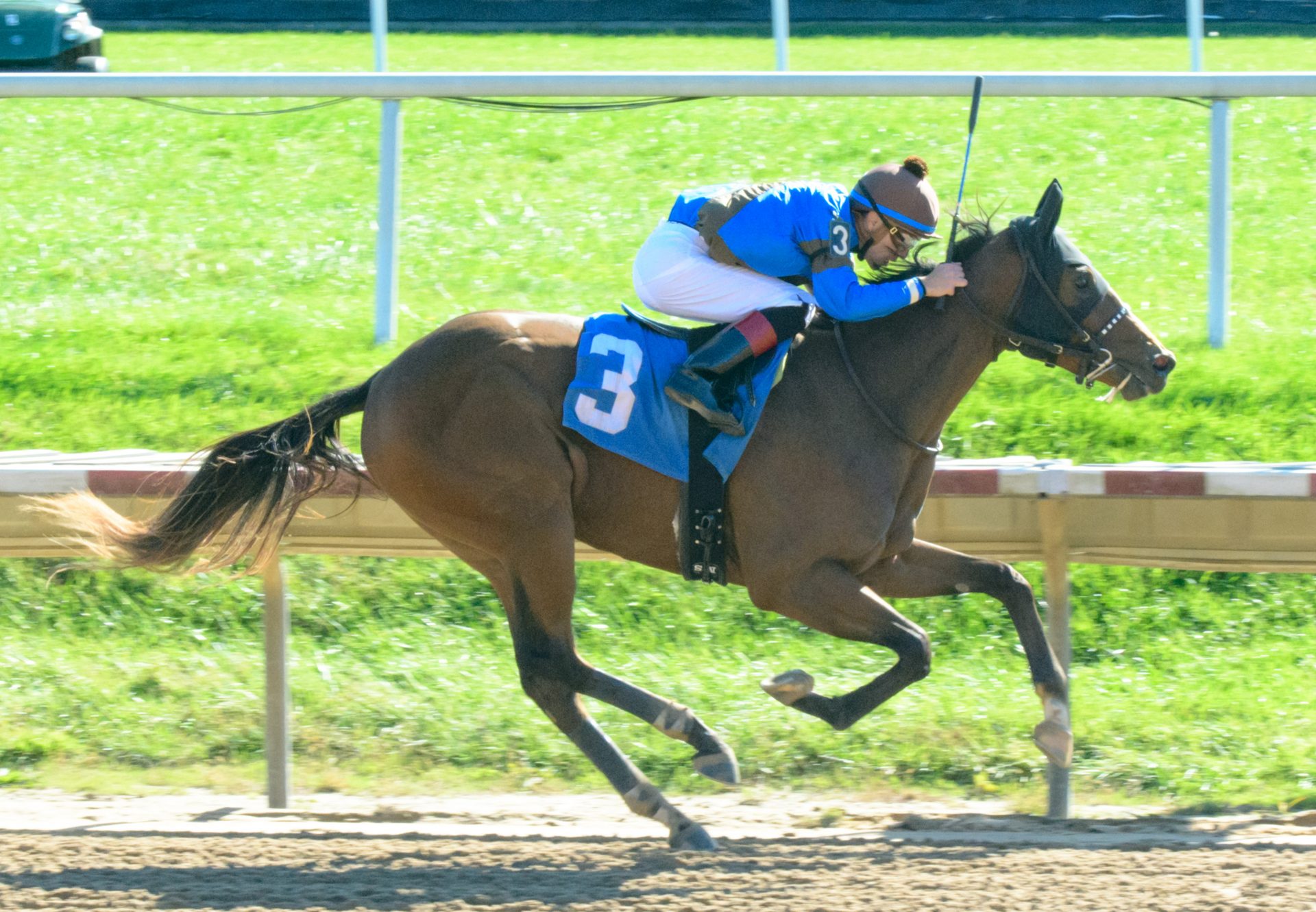 Mo Mariano (Mo Town) Wins Delaware MSW