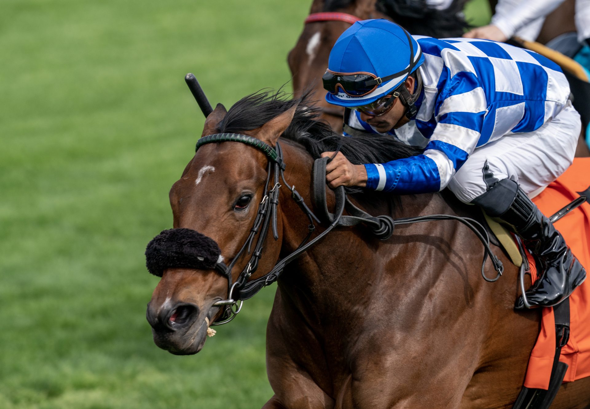 Mo Stash (Mo Town) Wins The Gr.3 Transylvania Stakes at Keeneland