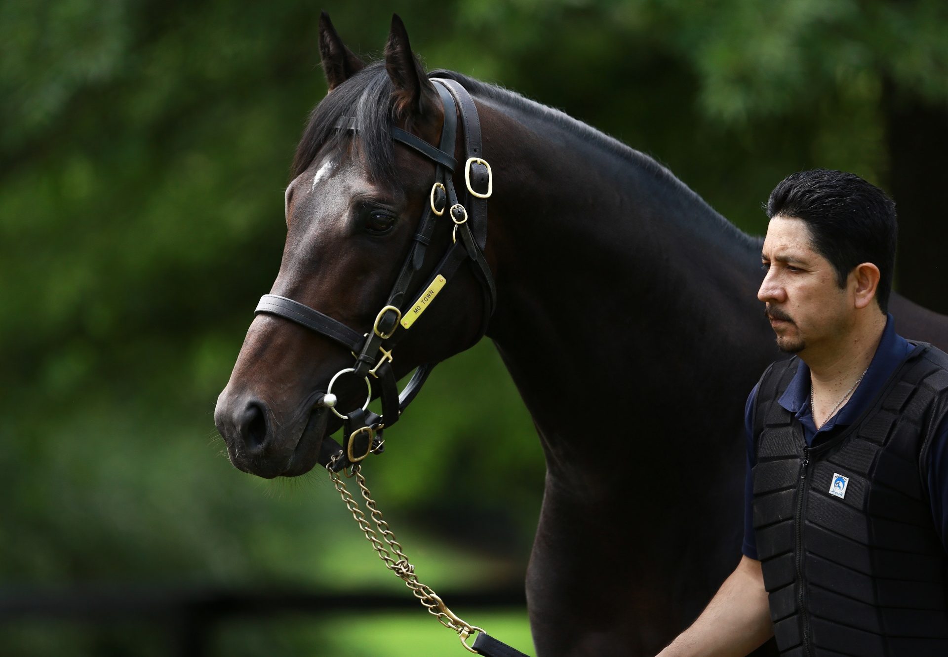 Mo Town At Stables