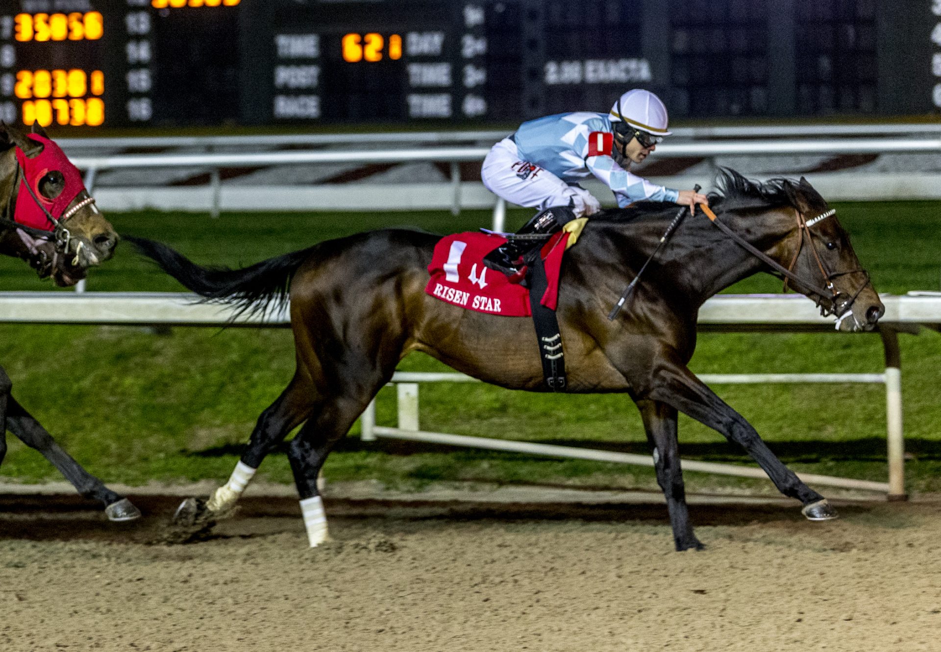Modernist (Uncle Mo) winning the Gr.2 Risen Star Stakes at Fair Grounds
