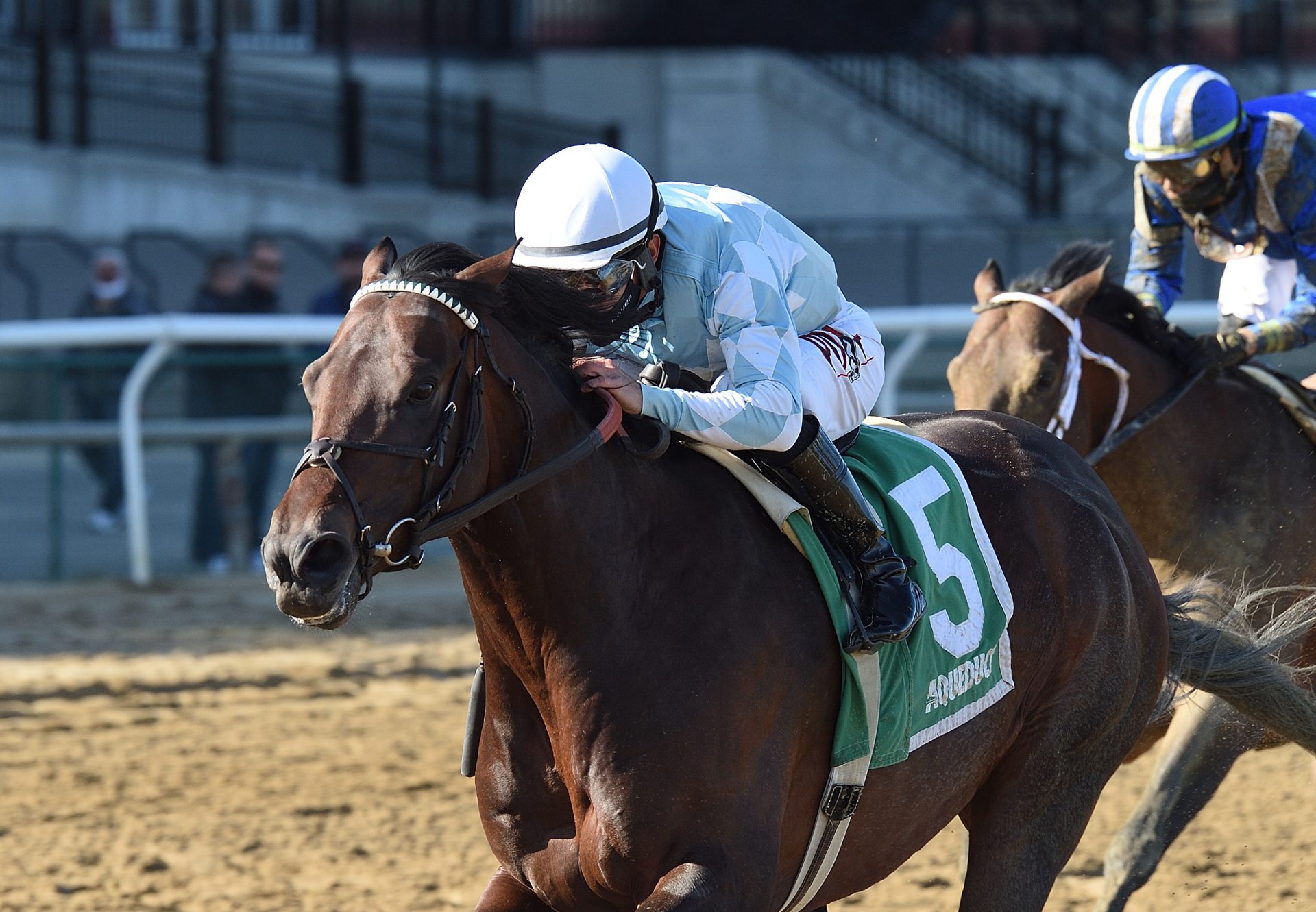 Modernist (Uncle Mo) Gr.3 Excelsior Stakes at Aqueduct